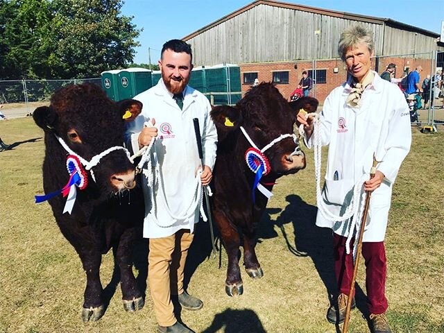 Finishing the showing season in style @theroyalberkshire ! Picking up :
Breed champion ✅ reserve breed champion ✅ and junior breed champion ✅ .
.
.
.
.
 #eeeeeats #foodbeast #nothingisordinary #eatfamous #feedfeed #dailyfoodfeed #f52grams #lifeandthy