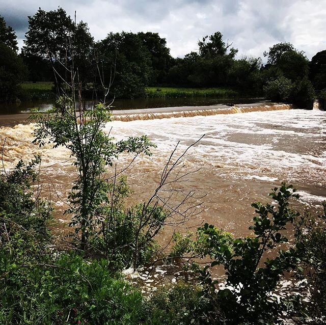Can&rsquo;t believe how much rain we&rsquo;ve had. There was no water coming over the weir a week ago. Just look at it now.
.
.
#devonlife #countrysideandfarmlife #naturelovers #naturephotos #farm #farmlifeisthebest