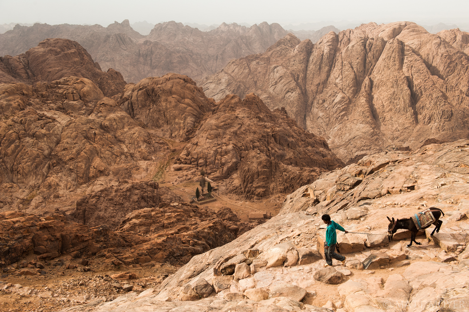  A bedouin boy guides a donkey from the summit of Mount Sinai after delivering supplies to shops along the stairs to the summit. 