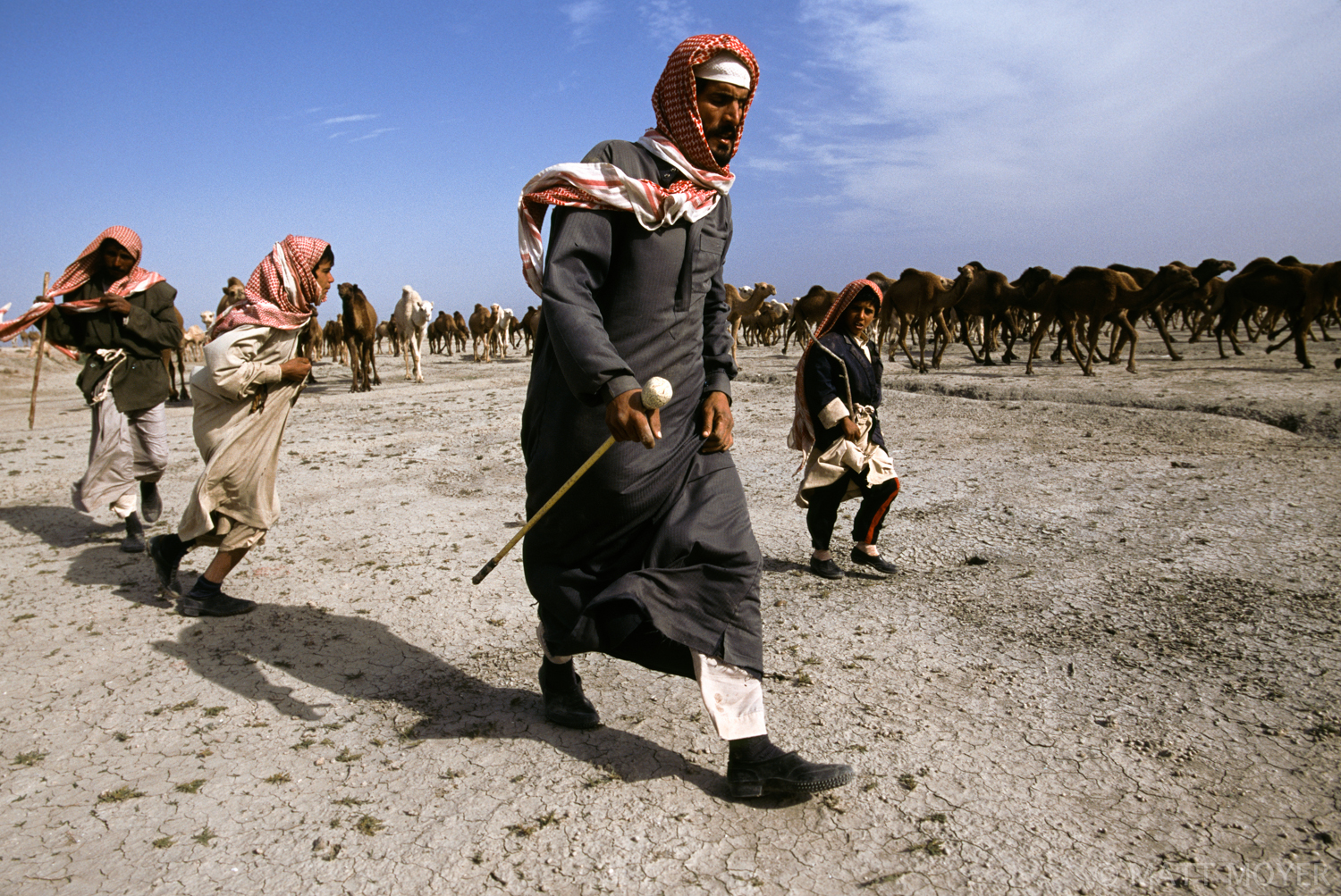  Shiite Bedouin camel herders walk across the desert with their herd outside Nasaria, Iraq. 