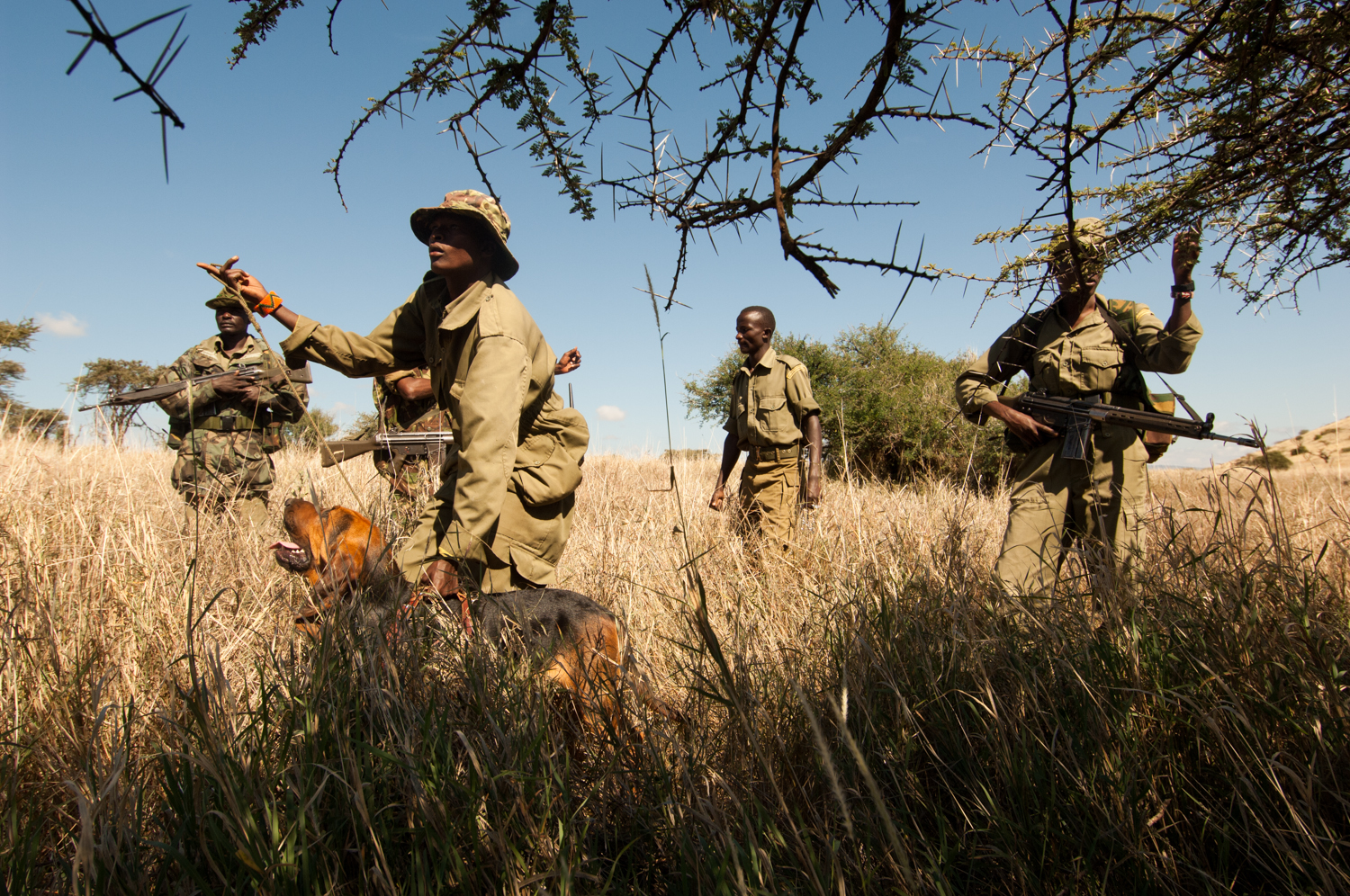  Members of an anti-poaching unit patrol the wildlife park in Lewa Downs, Kenya. Based at the Lewa Wildlife Conservancy in Northern Kenya, the privately funded anti-poaching unit has received permission from the Kenyan government to shoot to kill. 