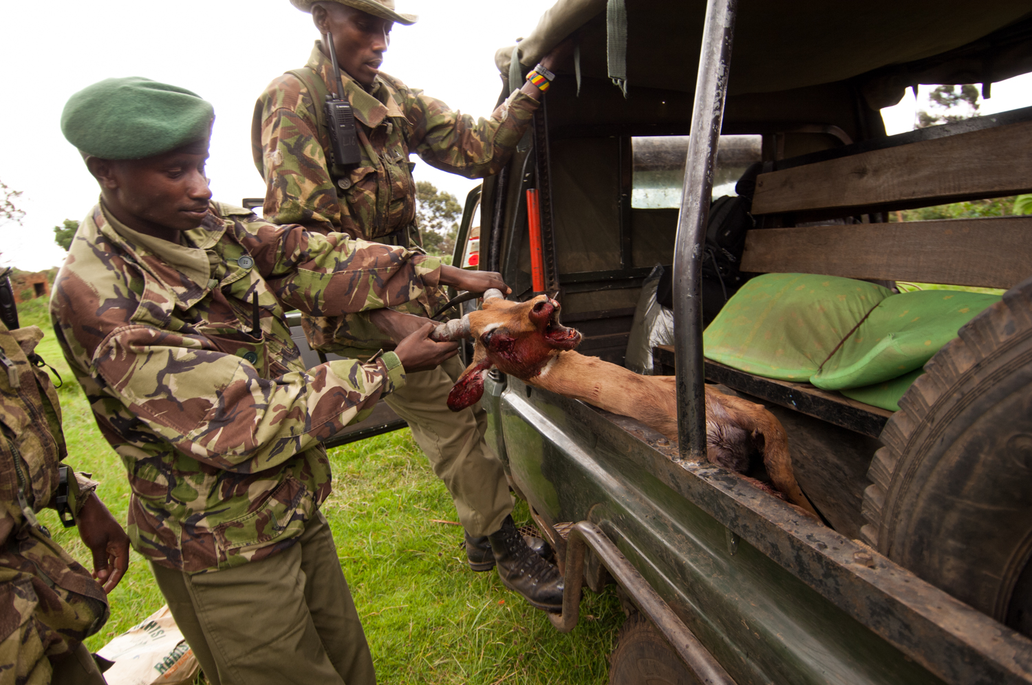  Members of an anti-poaching unit hold a slaughtered antelope by it's horns in Lewa Downs, Kenya. 