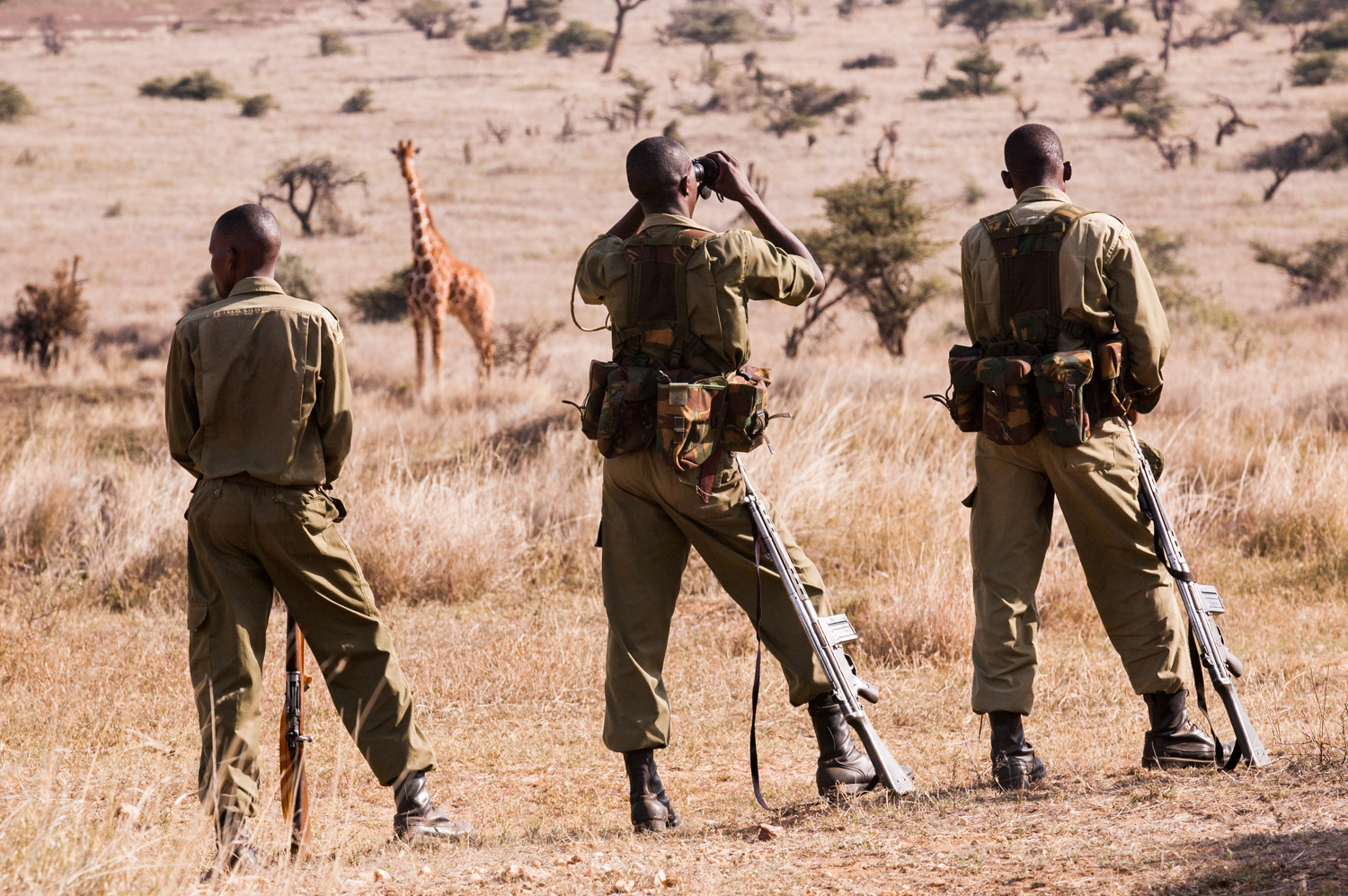  Members of an anti-poaching unit patrol the wildlife park in Northern Kenya. 