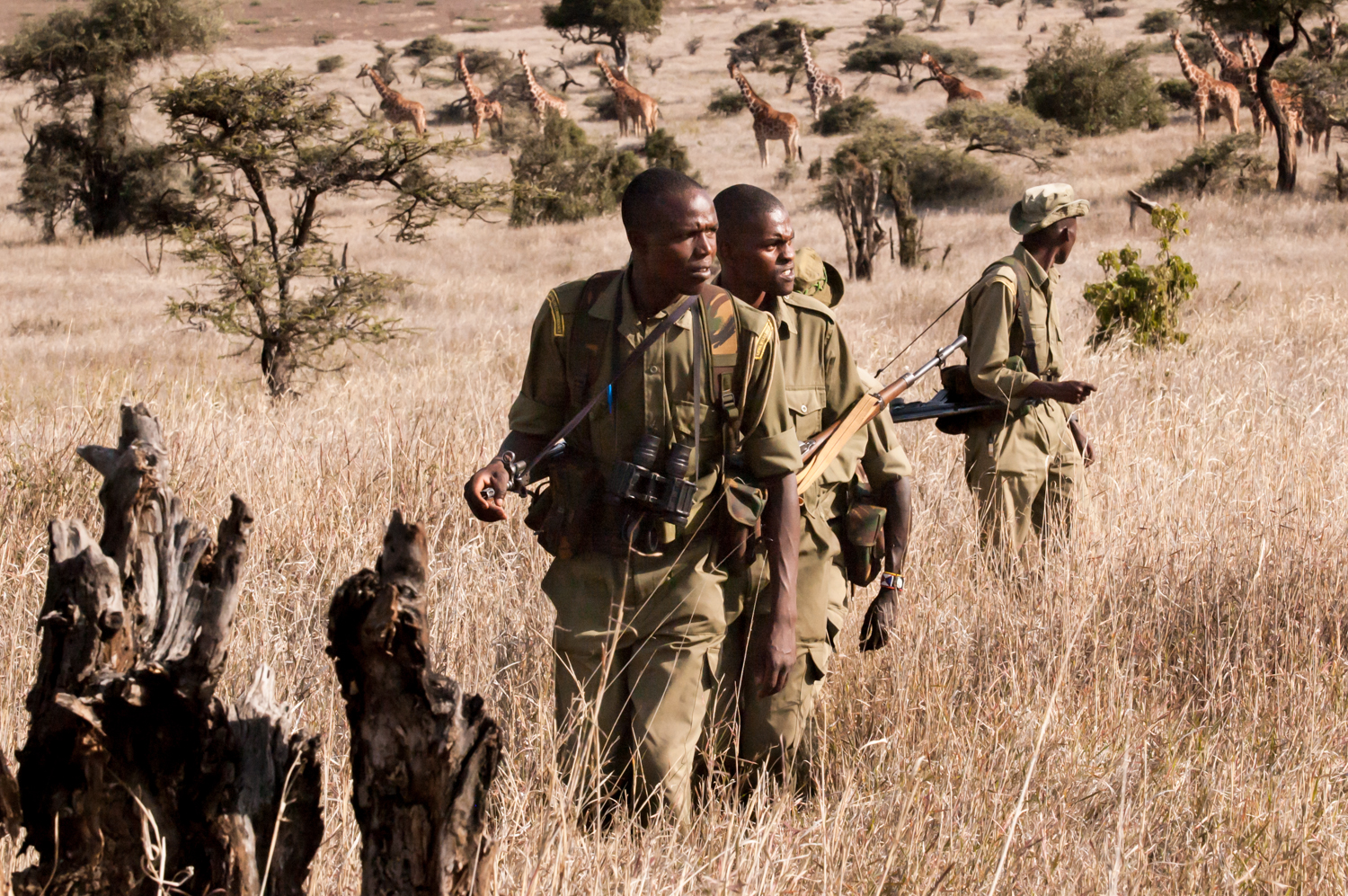  Members of an anti-poaching unit patrol the wildlife park in Northern Kenya. Based at the Lewa Wildlife Conservancy in Northern Kenya, the privately funded anti-poaching unit has received permission from the Kenyan government to shoot to kill. Most 