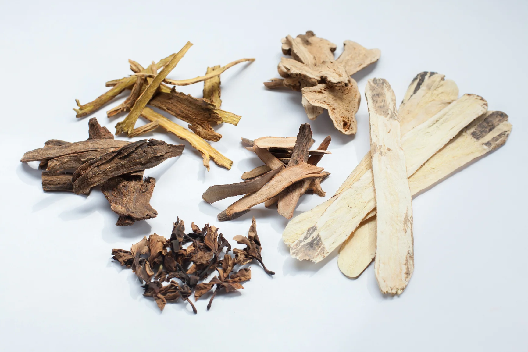 Herbs-2.jpg