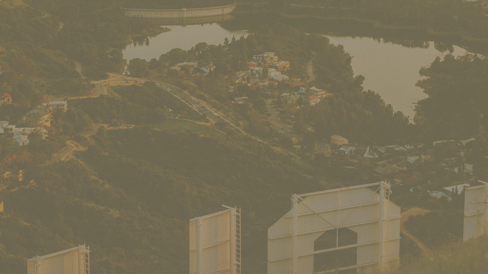 Stephanie Danler Smog-landscape1.png