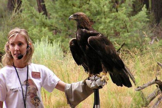 Naming opportunities often make for extremely engaging auction lots, especially with a program as beloved as the High Desert Museum's "Raptors in Flight".