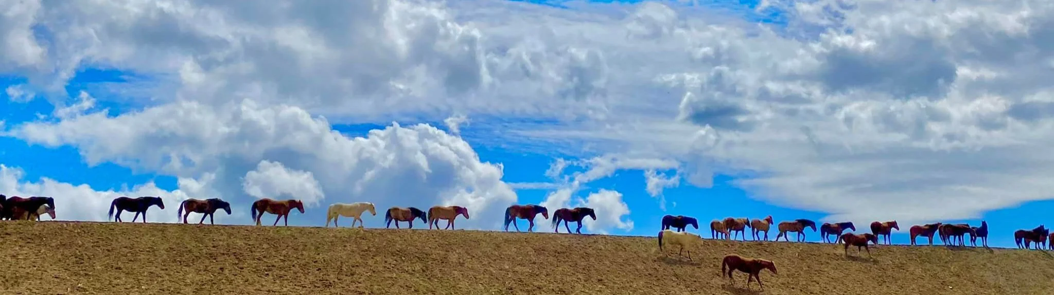 The Top 10 Most Exciting Auction Lots of 2023