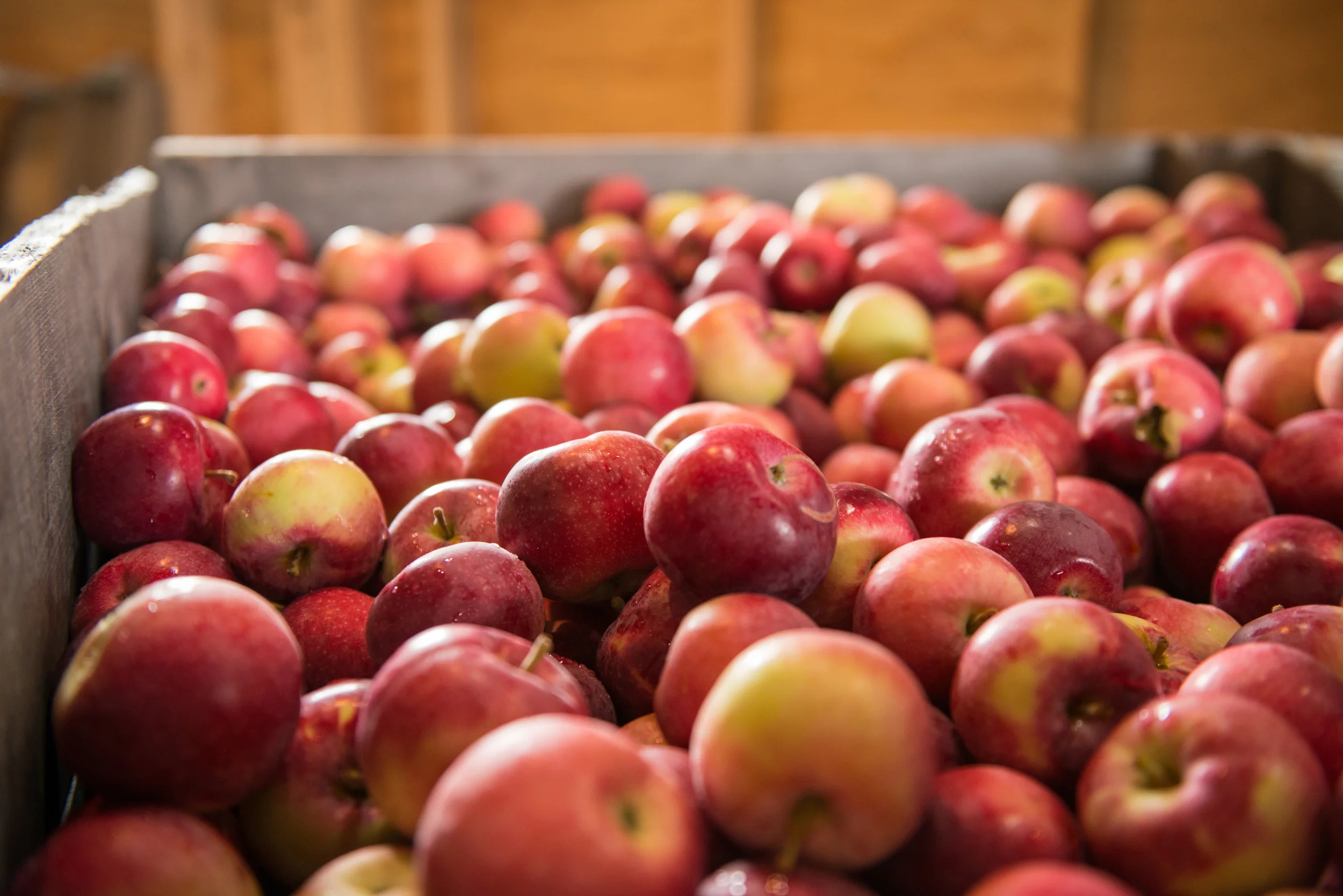 box of apples.JPG