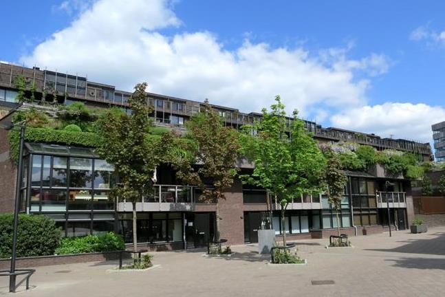 Medina, Eindhoven