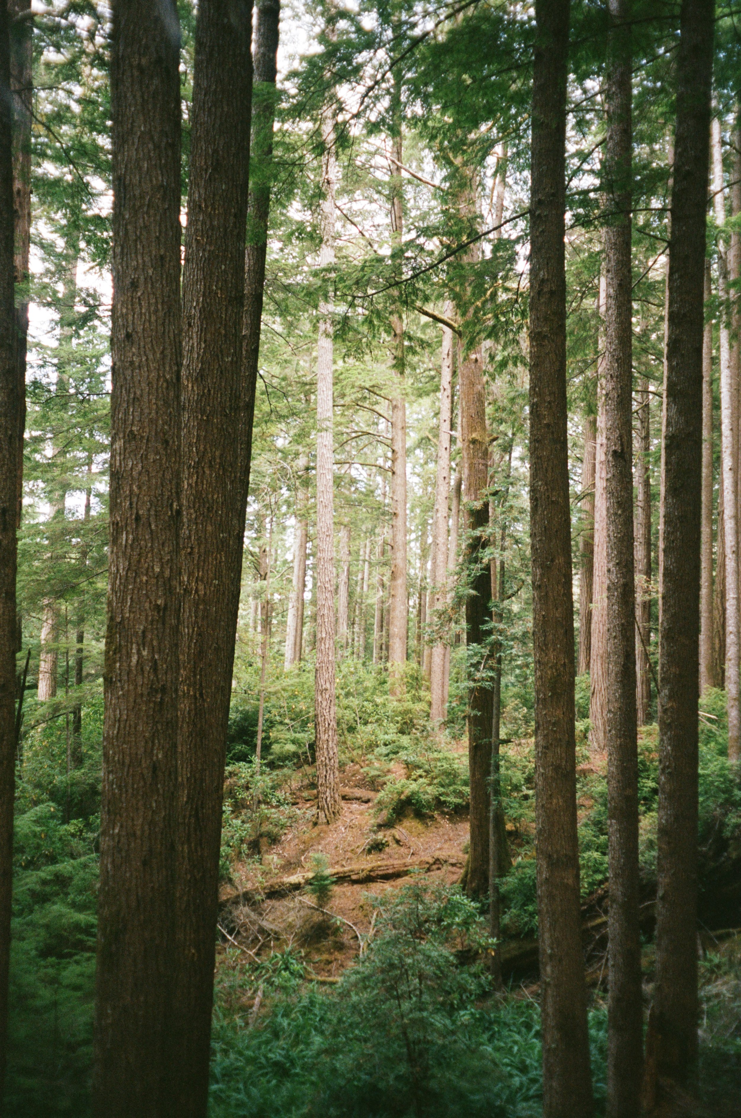 000196230007 copy.jpg