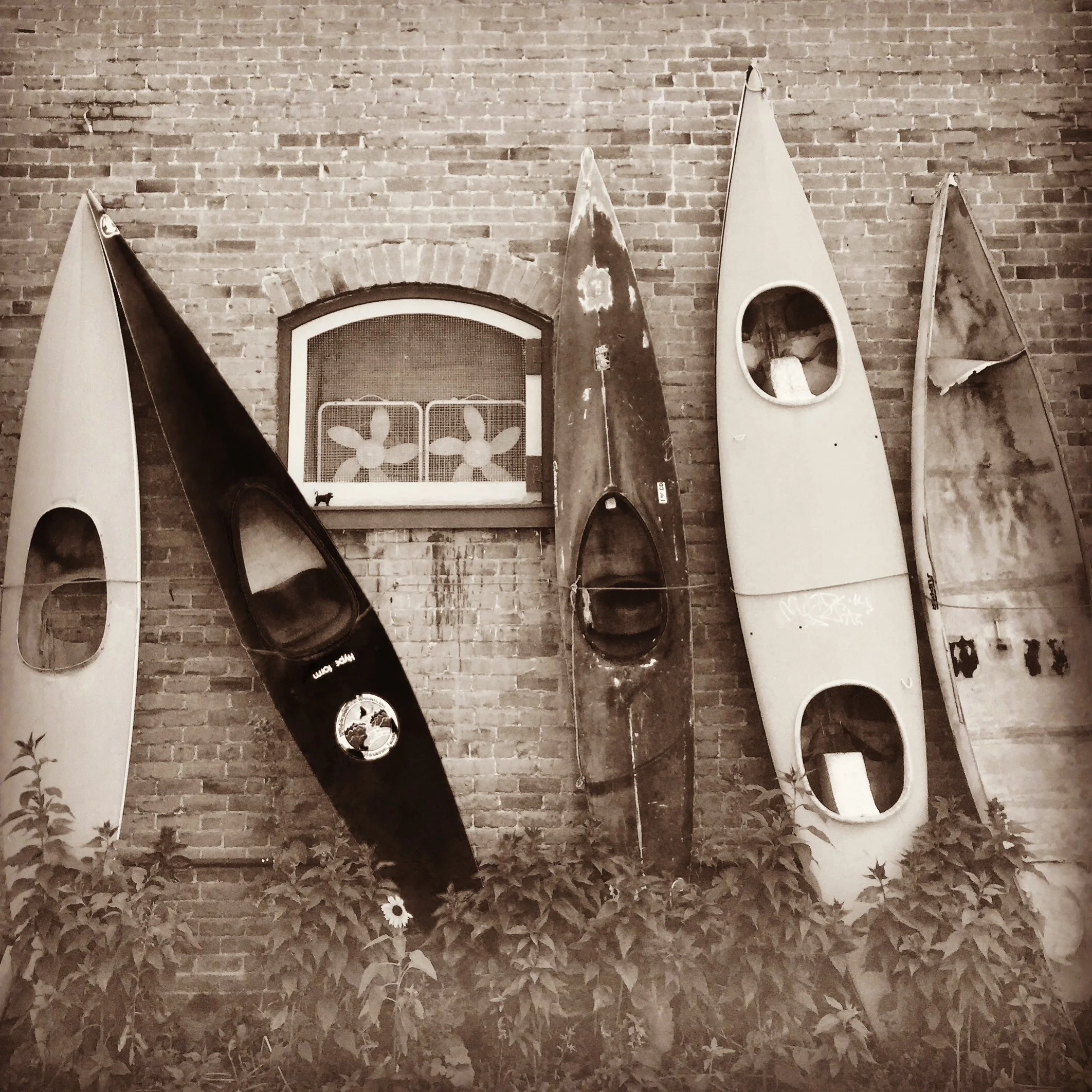 Kayaks, Salida, CO