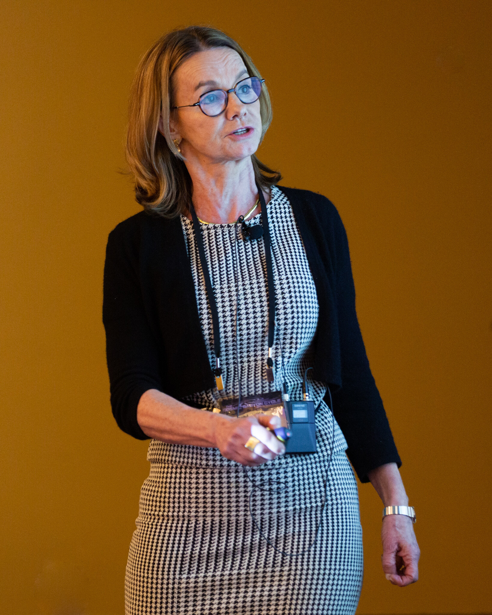 CSM2019-190919-6204_Storchi-Bergmann.jpg