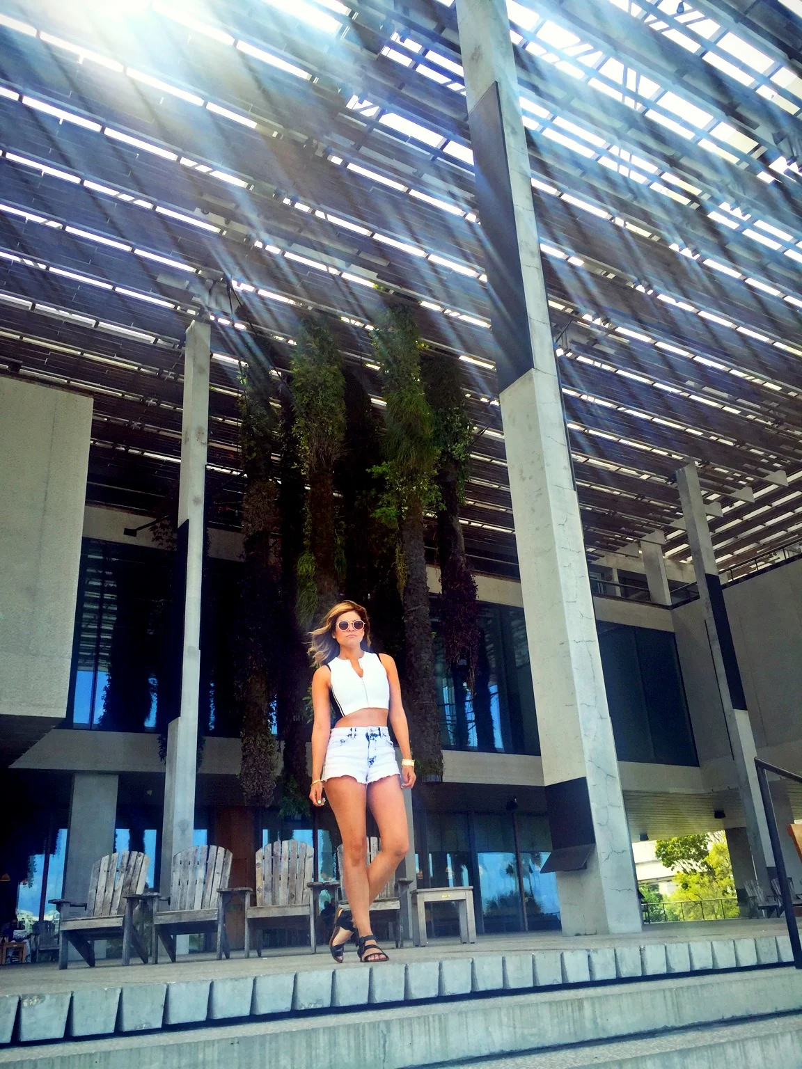 Taken at the Pérez Art Museum