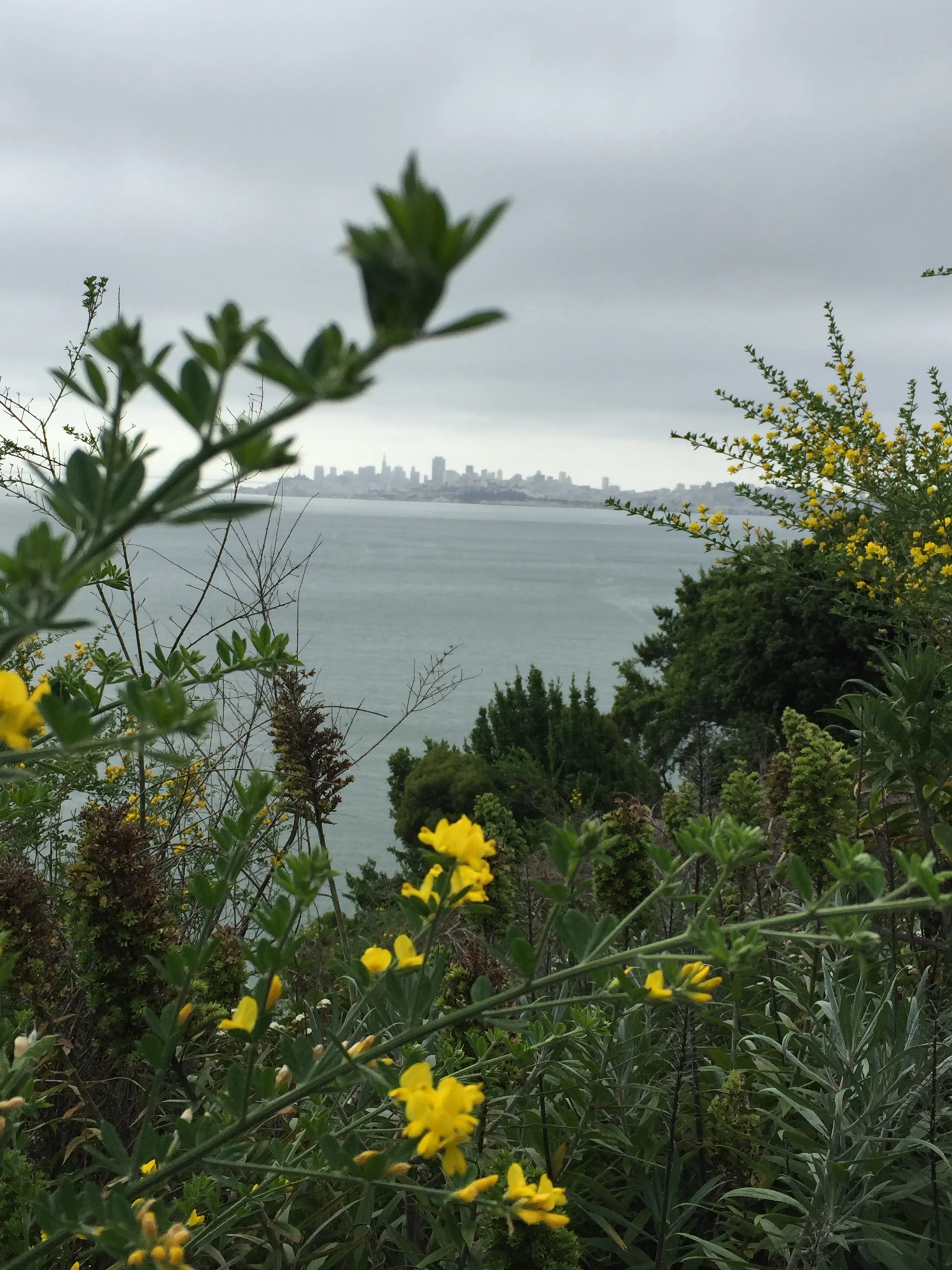 Hi San Fran! 