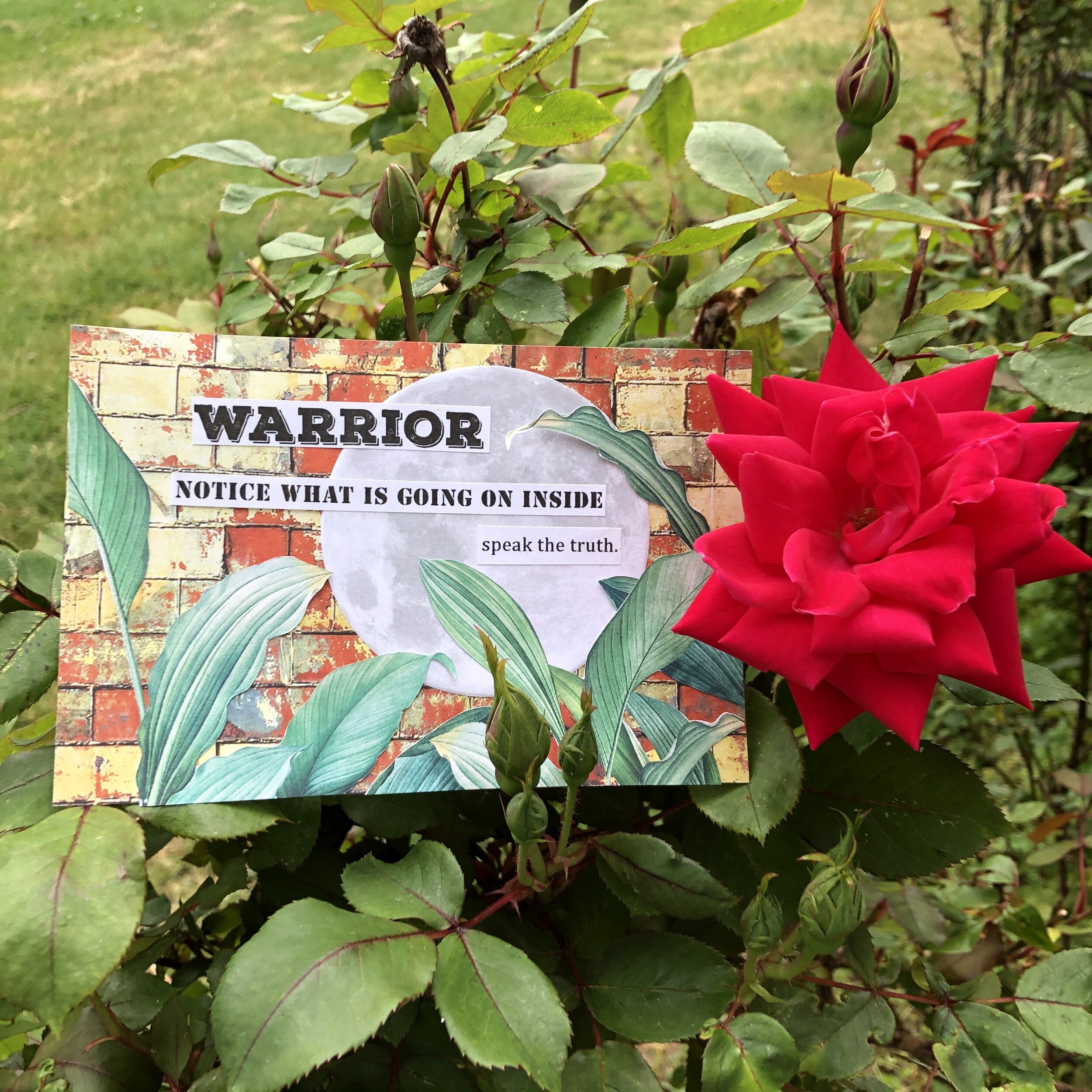 Day 8 - 100 Days of Postcards