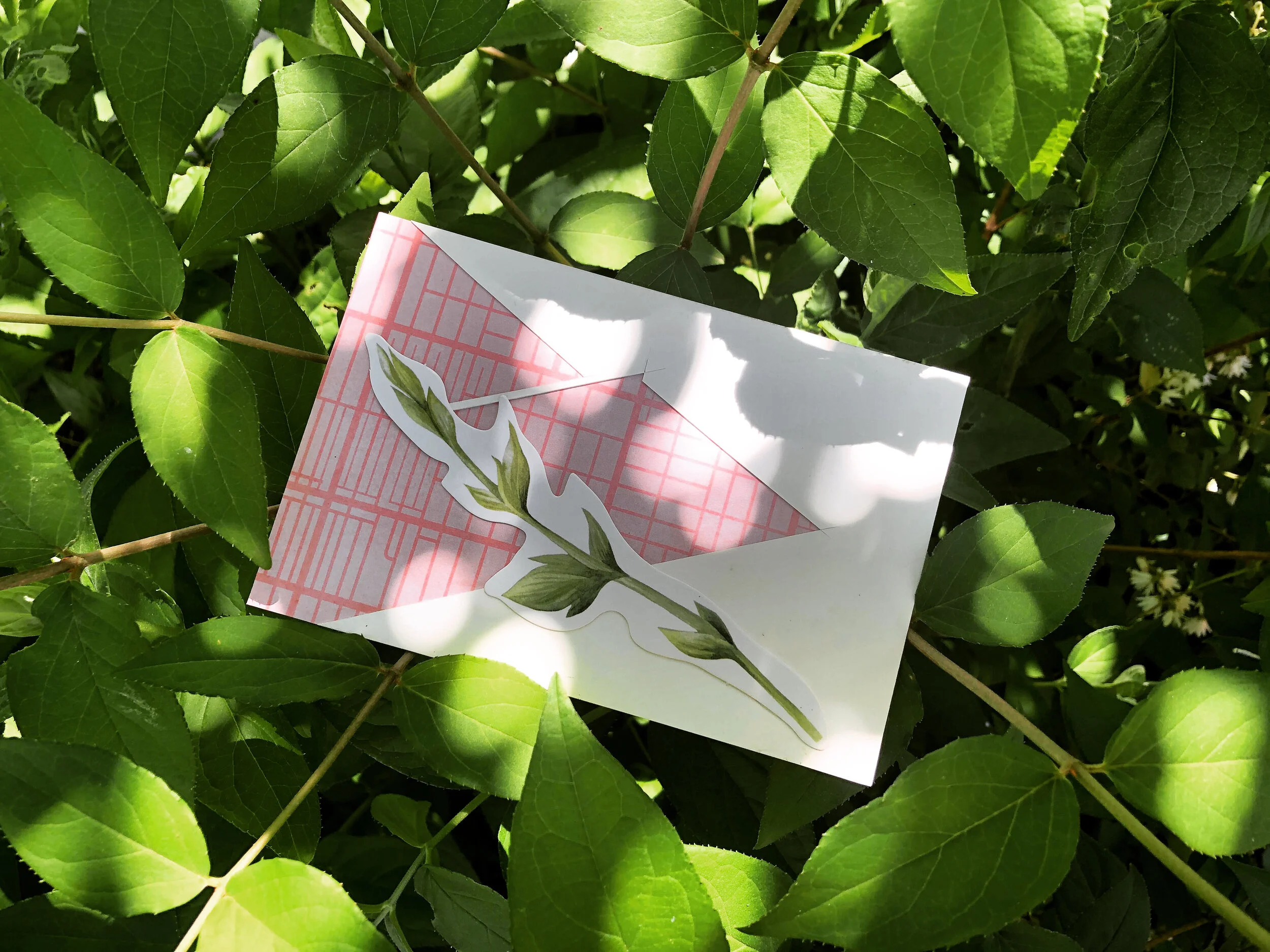 Day 29 - 100 Days of Postcards