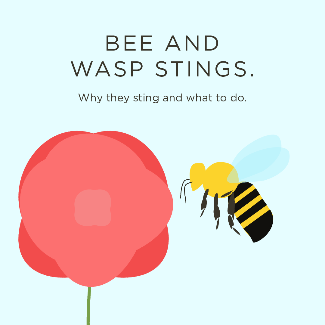 Wasp Sting: Identification, Treatment, and Reactions
