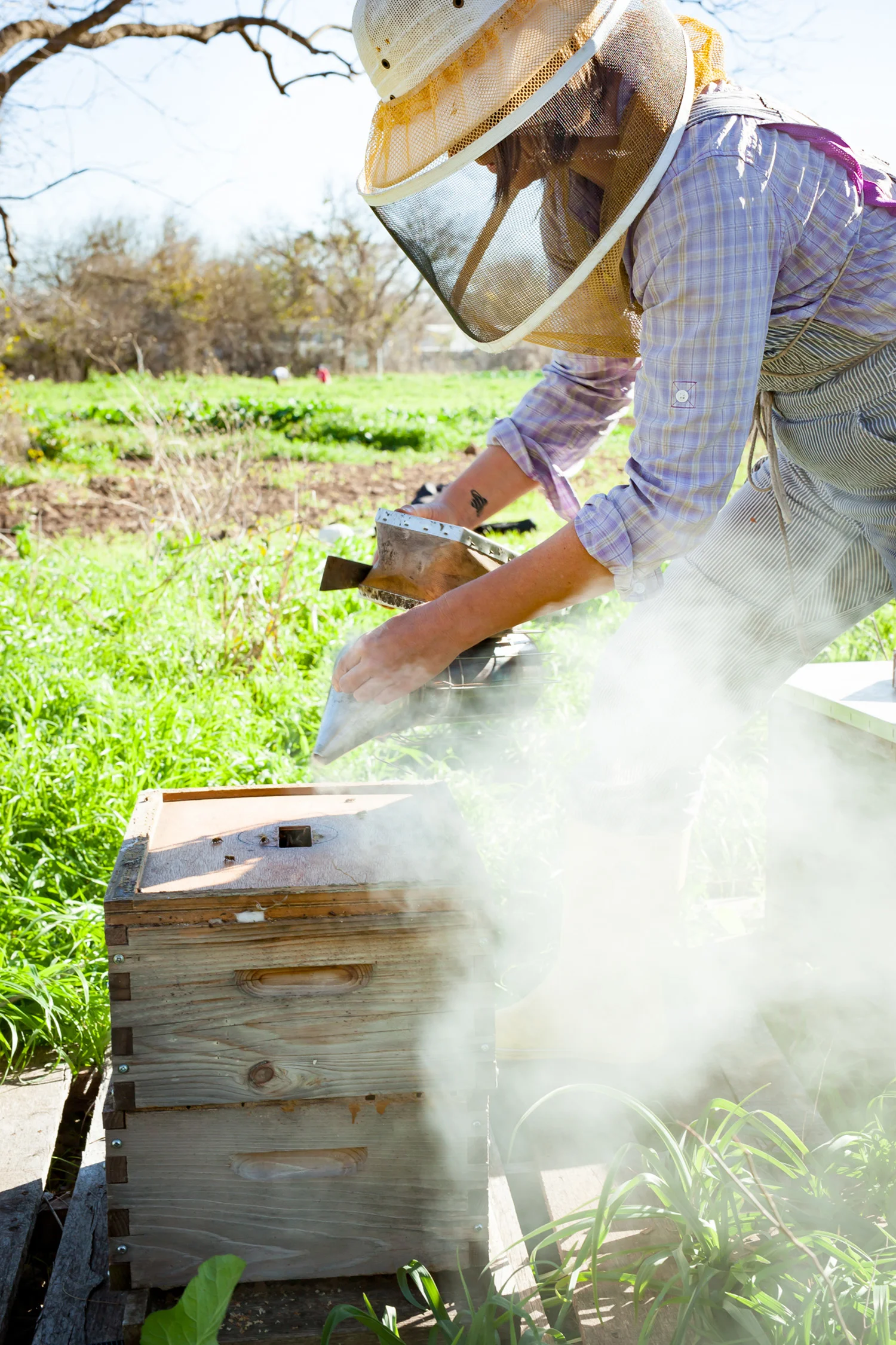 Bee_Keeper 0004.jpg