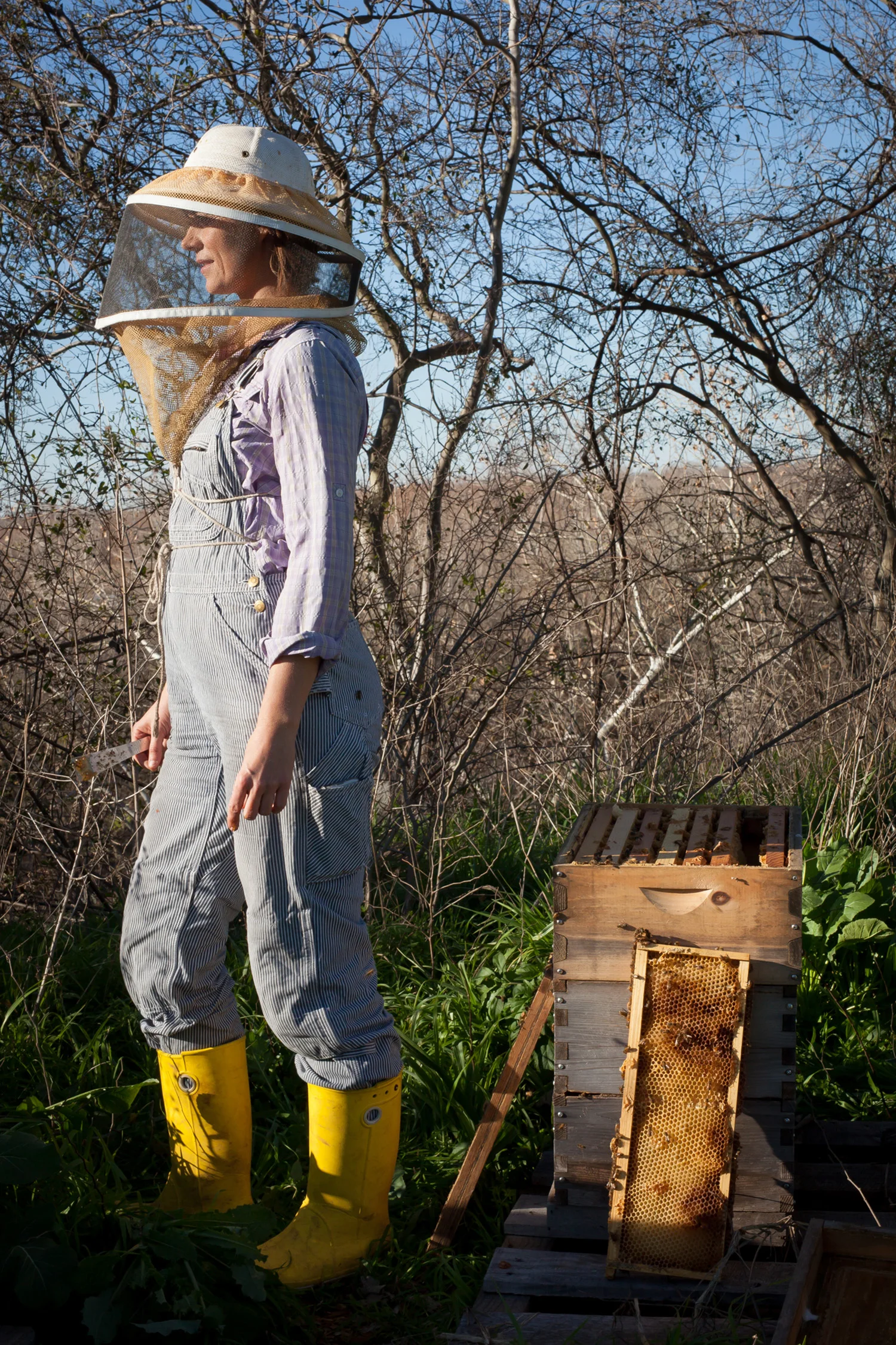 Bee_Keeper 0003.jpg