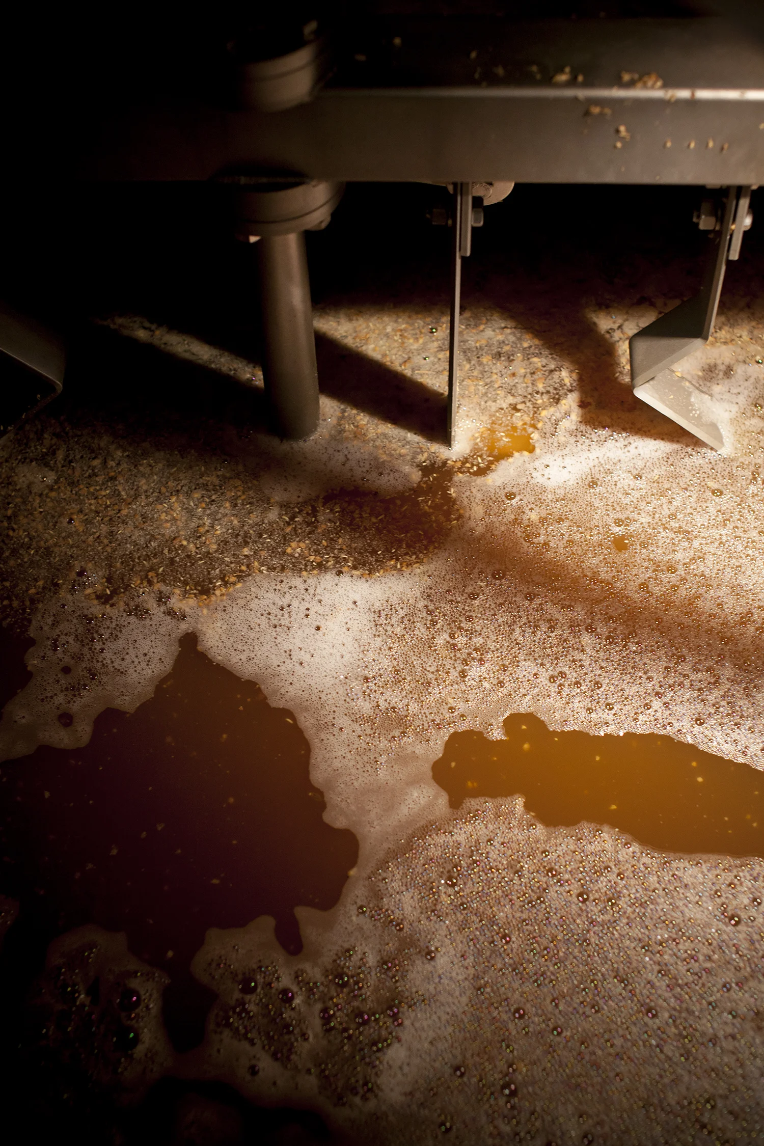 Hops_and_Grain_Beer 0003.jpg