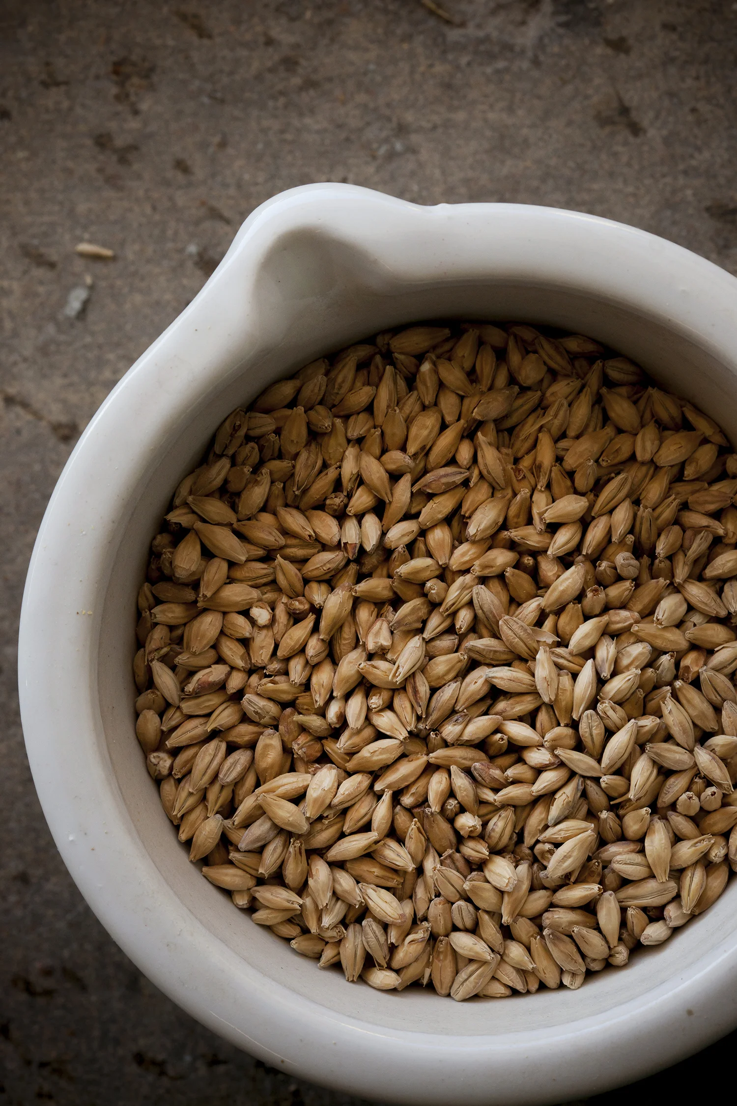 Hops_and_Grain_Beer 0007.jpg