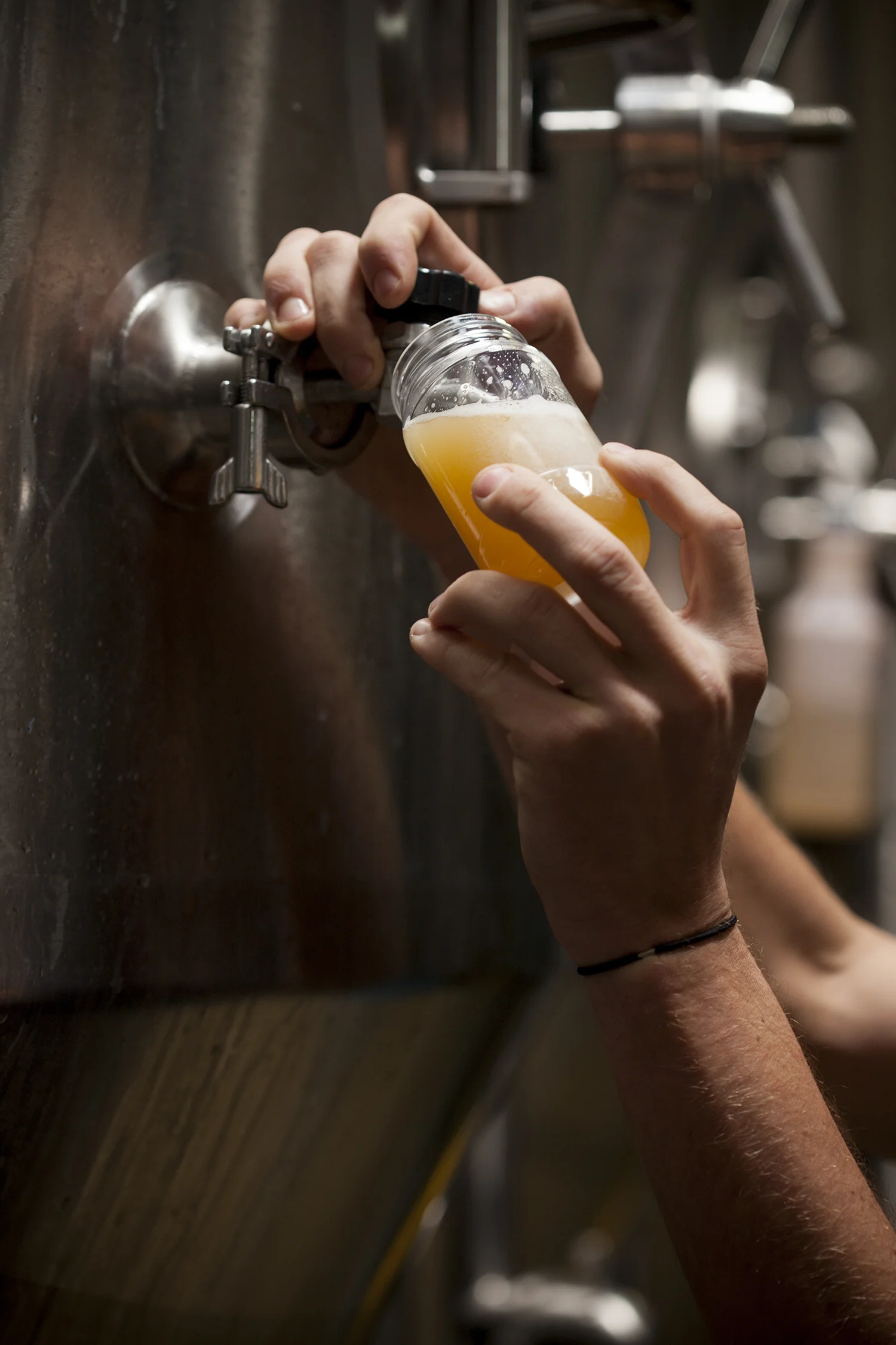 Hops_and_Grain_Beer 0015.jpg