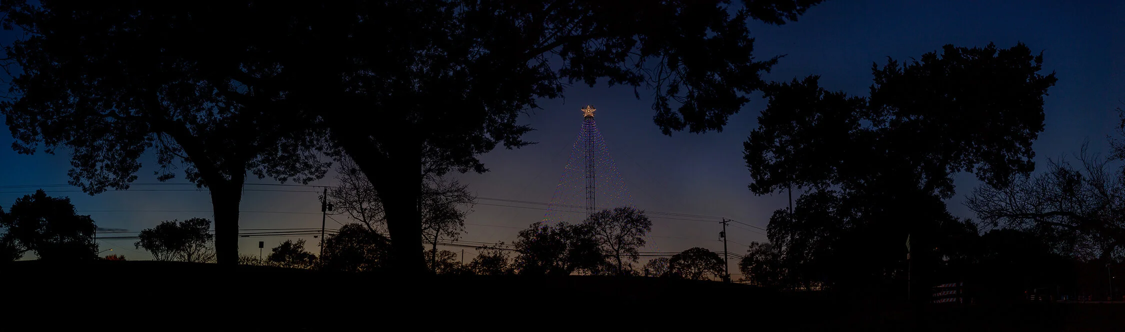 Zilker great tree pano_5-.JPG