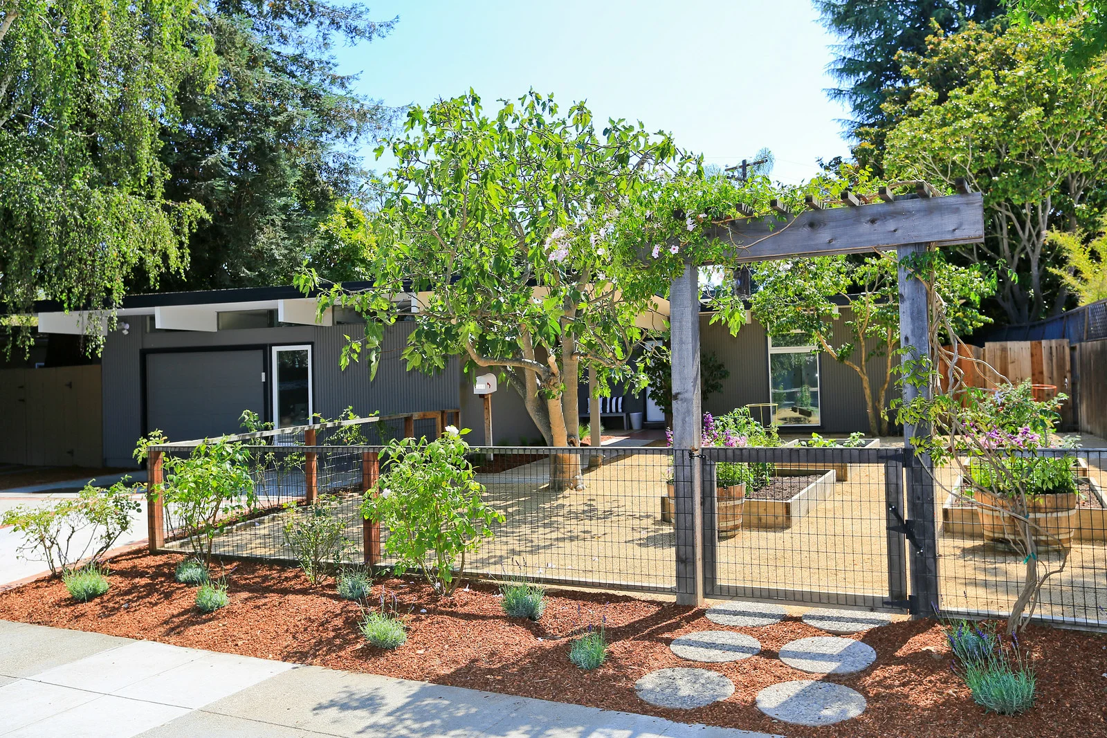 Edgewood-1-X3.jpg