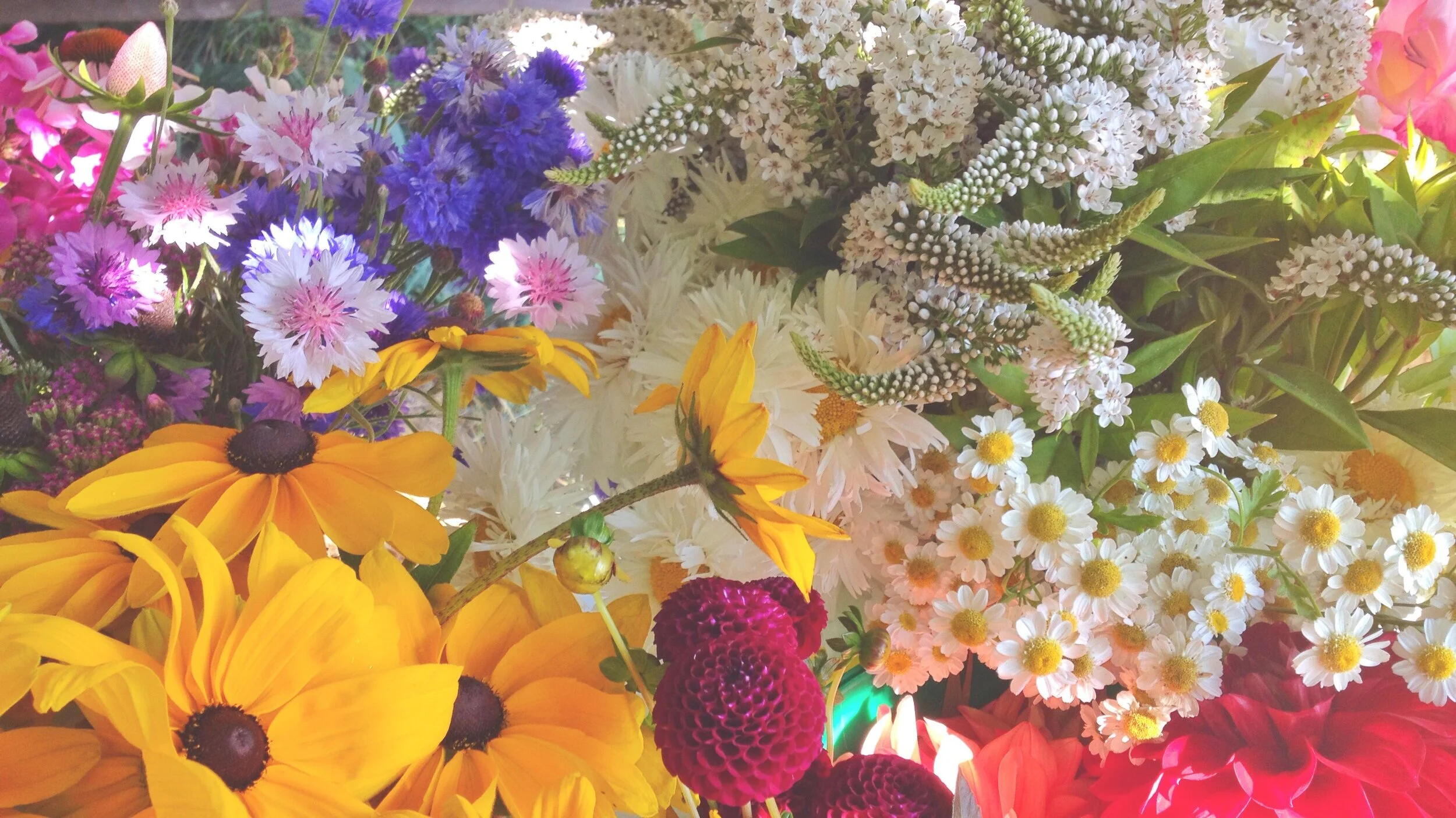Flowers1b.jpg