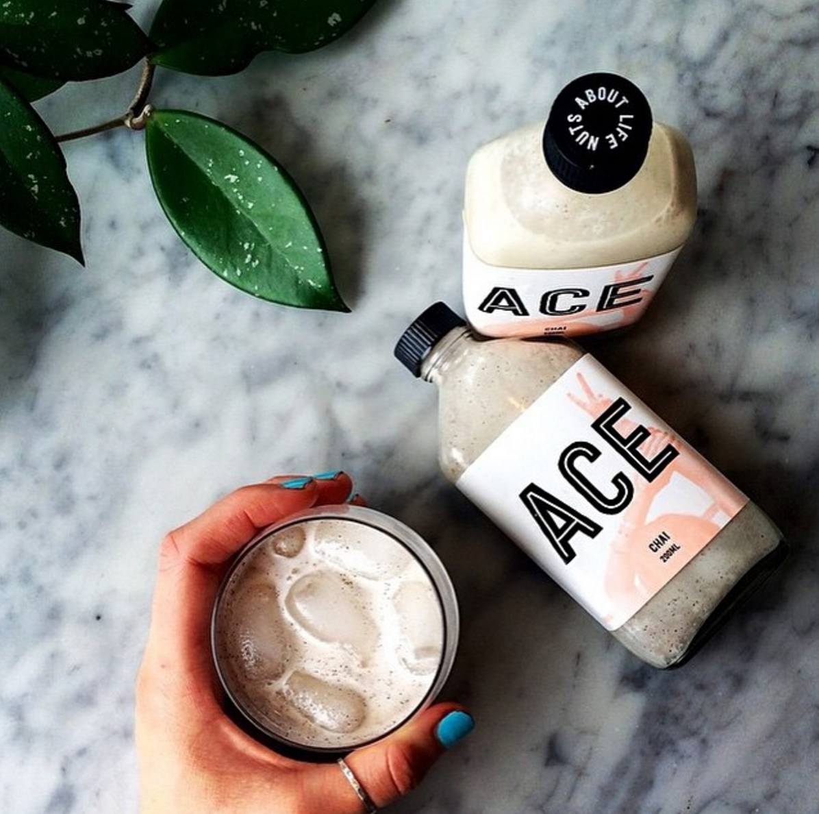 Ace Nut Milk