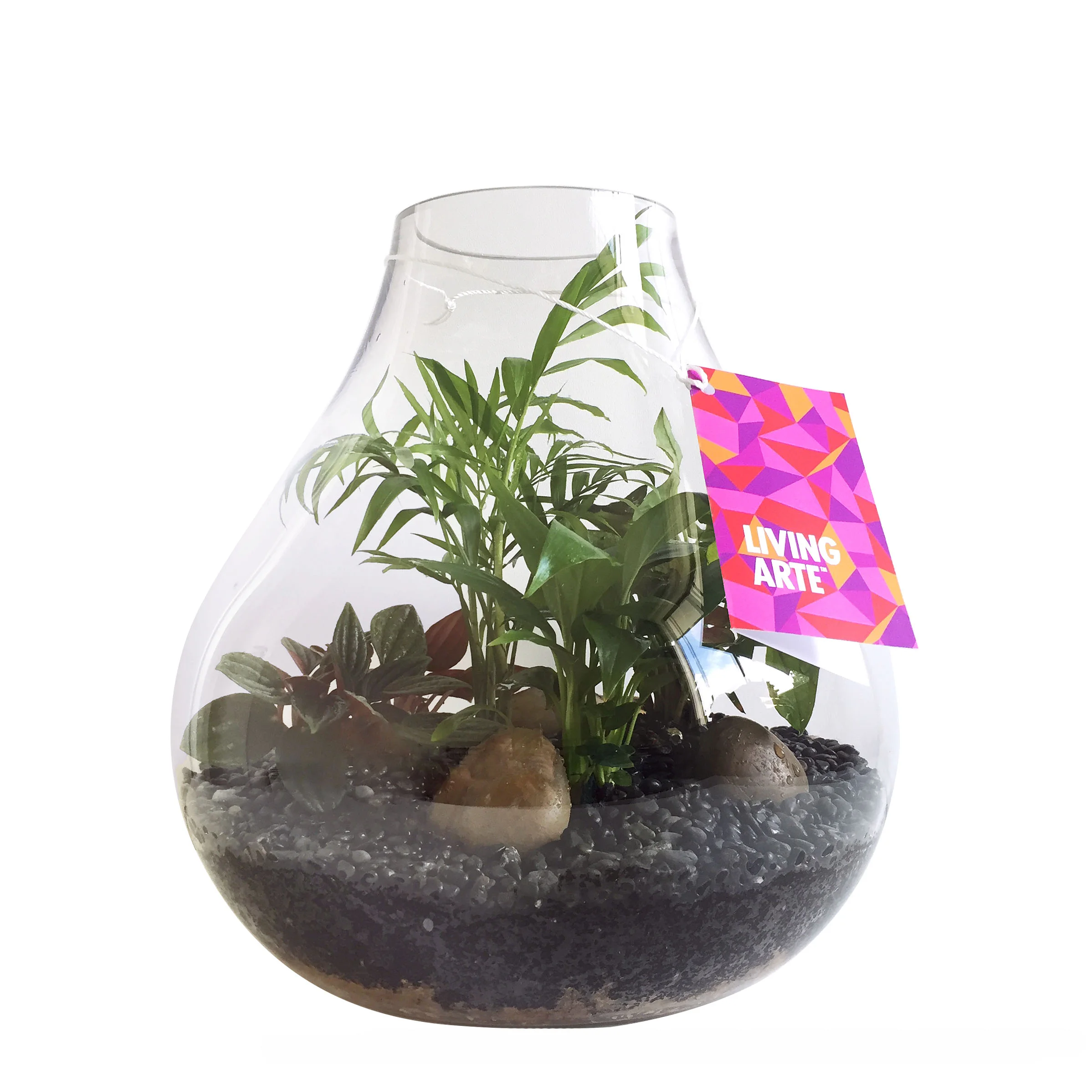 Living Arte Terrarium Tag