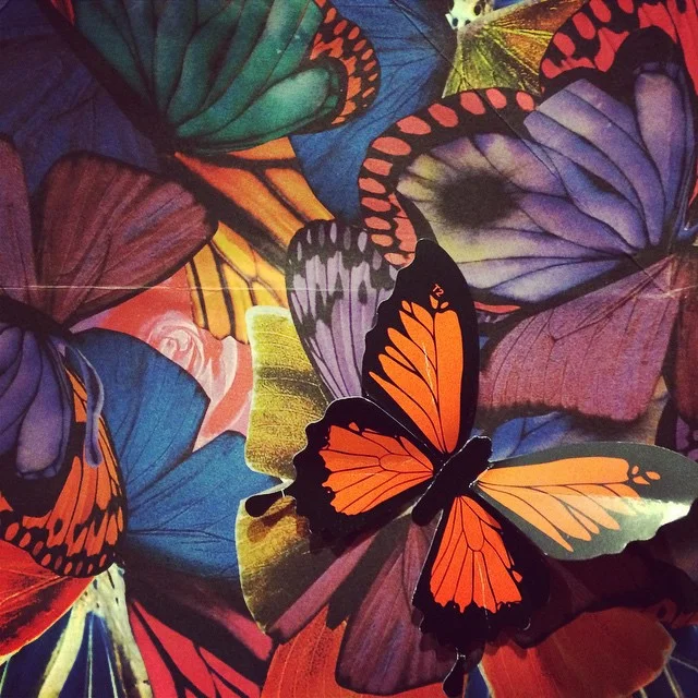 10802875_751098298292997_1615446859_n.jpg