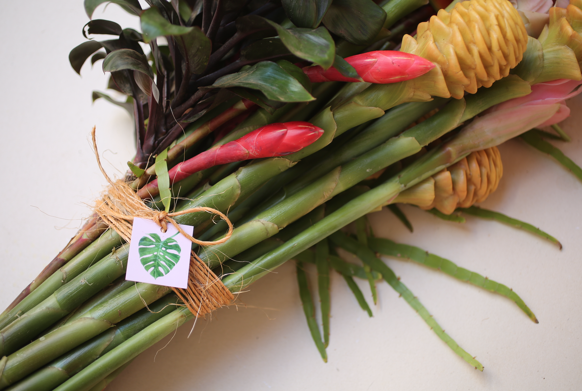 Screen Shot 2017-04-20 at 10.35.32 pm.png