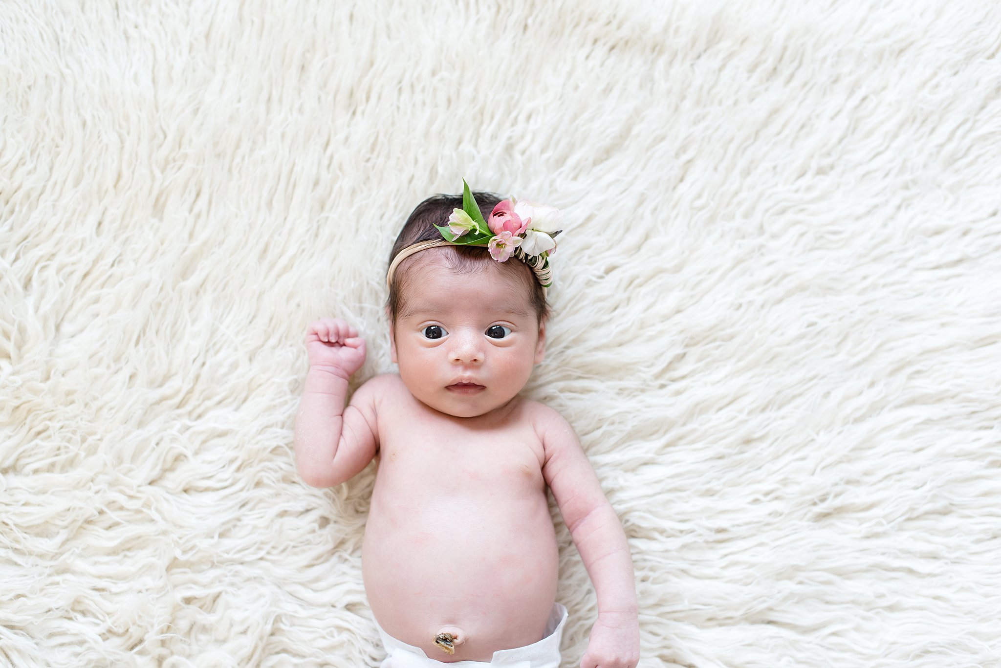  newborn portrait of a baby girl with a flower headband 