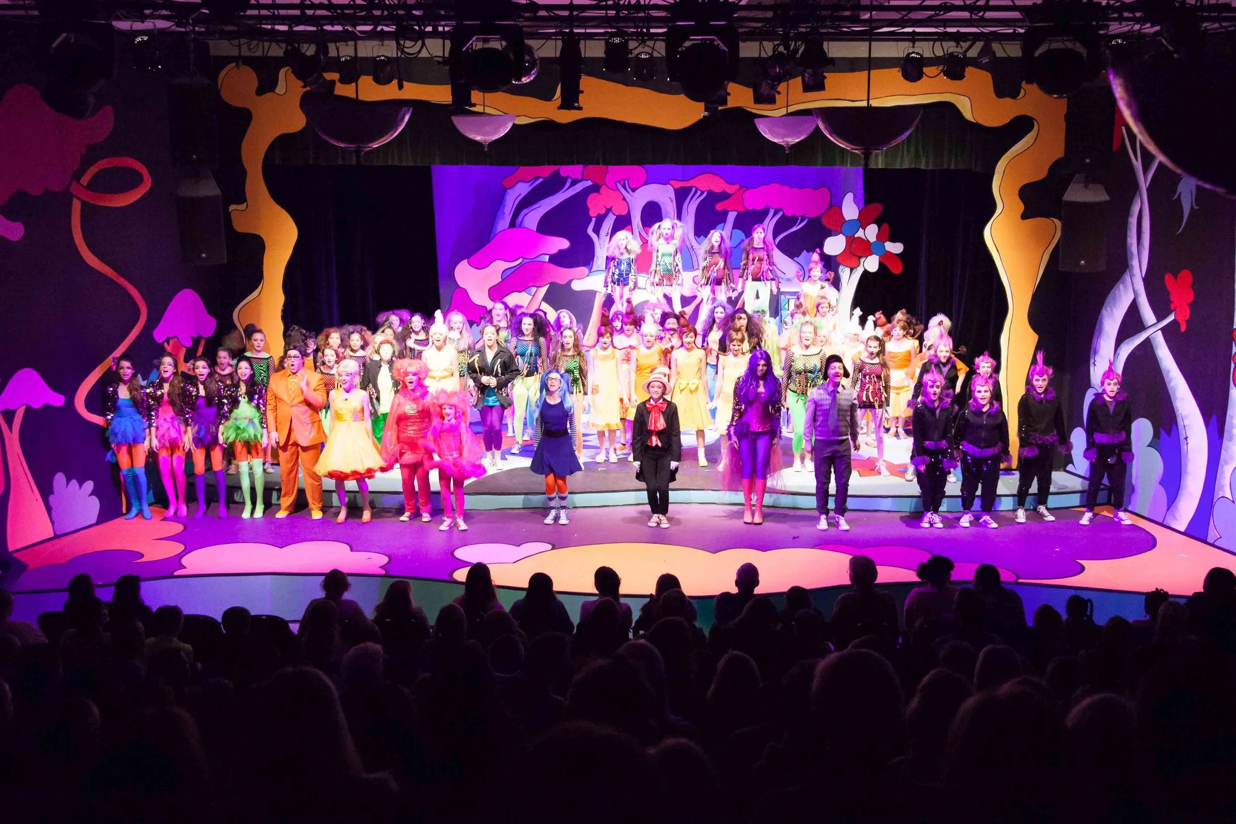 0016 Seussical 1-31-15.jpg