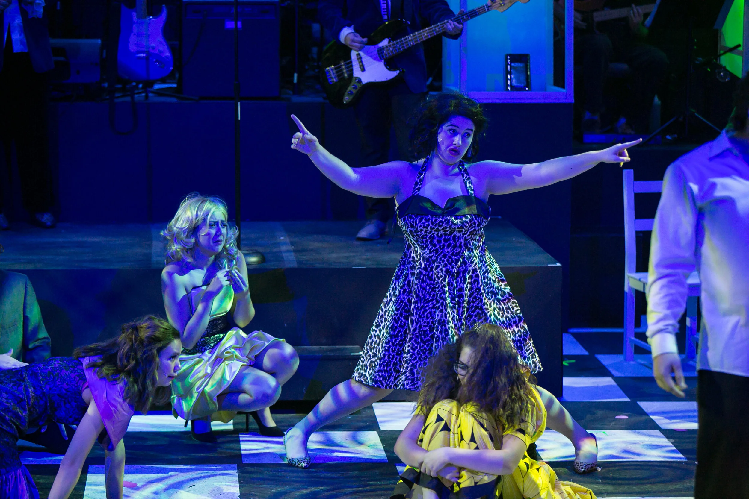 The Wedding Singer Stage Door Fine Arts