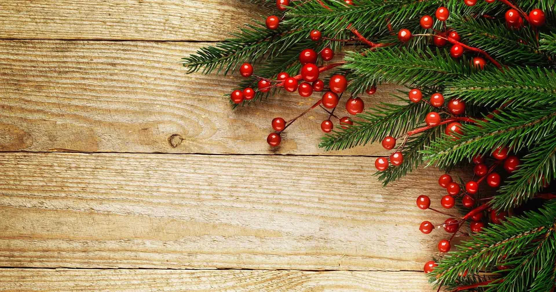 holiday-background-102.jpg