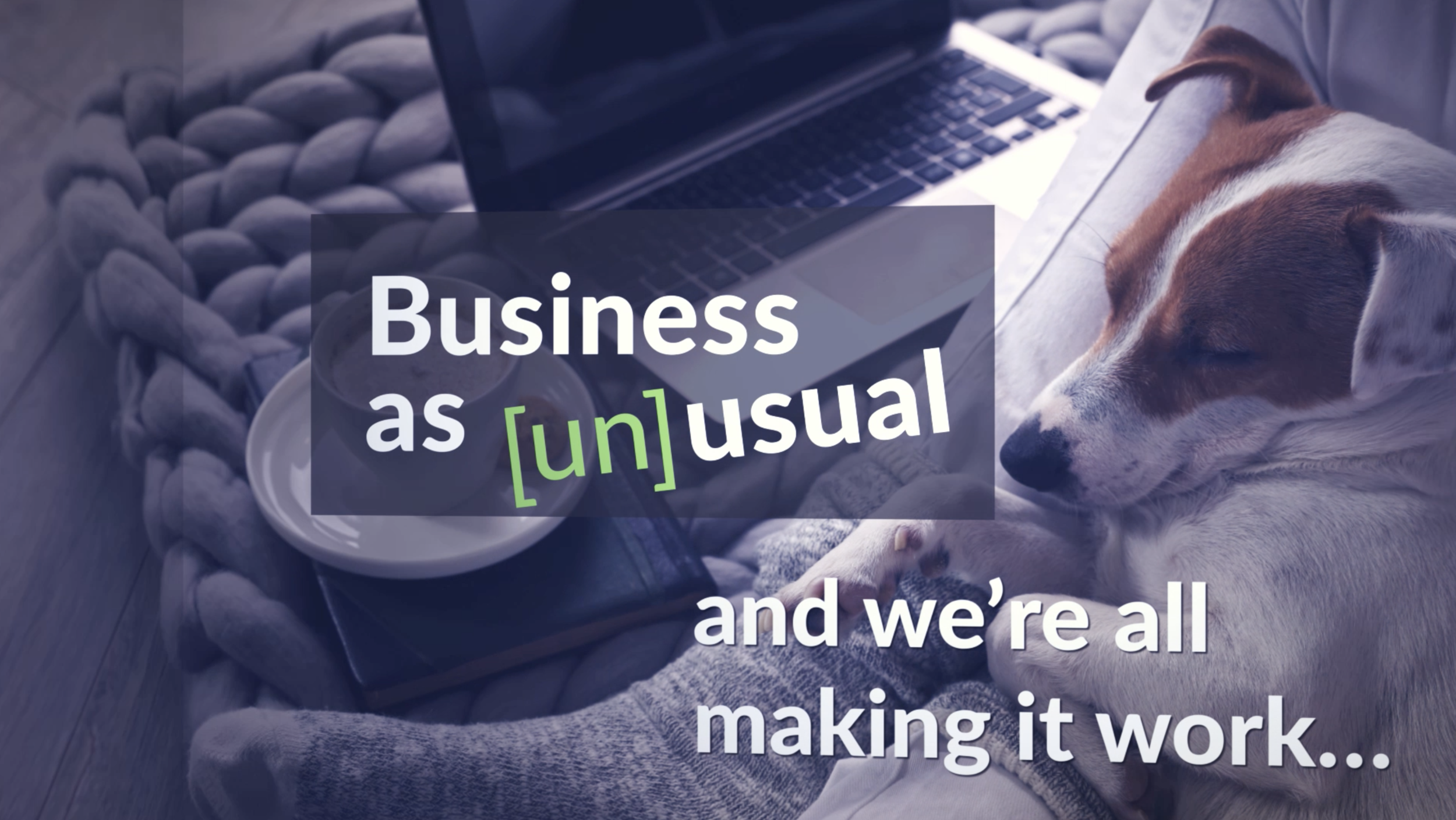 Screen Shot 2021-02-21 at 7.11.43 PM.png