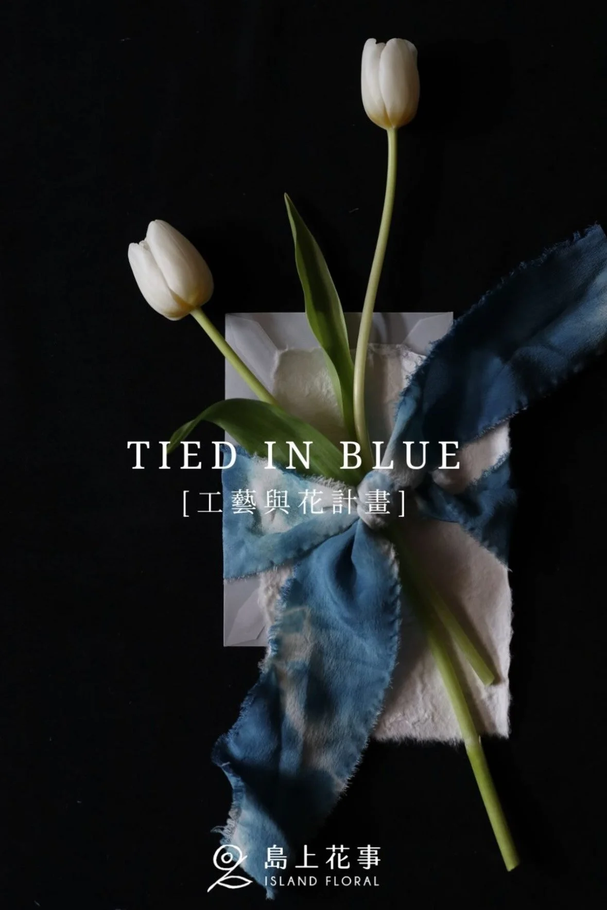Tied in Blue_text overlay.jpg