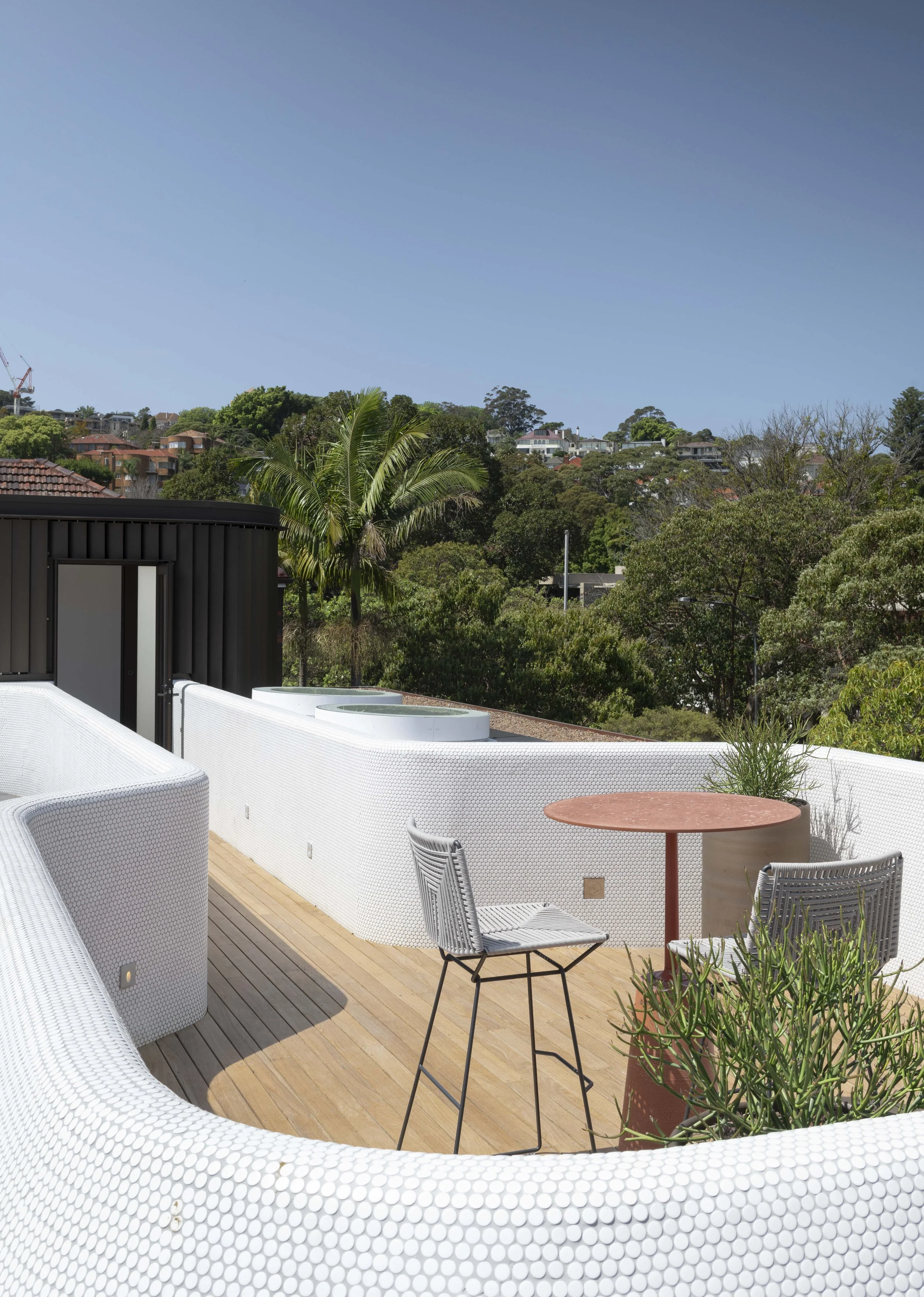 tdm 22 WILLIAM_1387.JPG