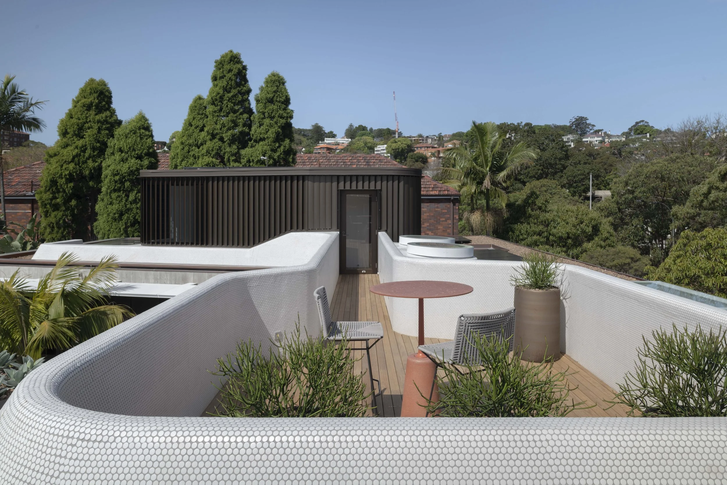 tdm 22 WILLIAM_1608.JPG