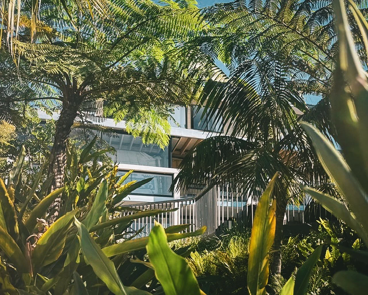 Northern Beaches Alterations &amp; Additions

A refined coastal family home set back from the street, built with their daily lives in mind. Off-form concrete, warm timbers and layered textures keep it clean, calm and inviting, with a strong connectio
