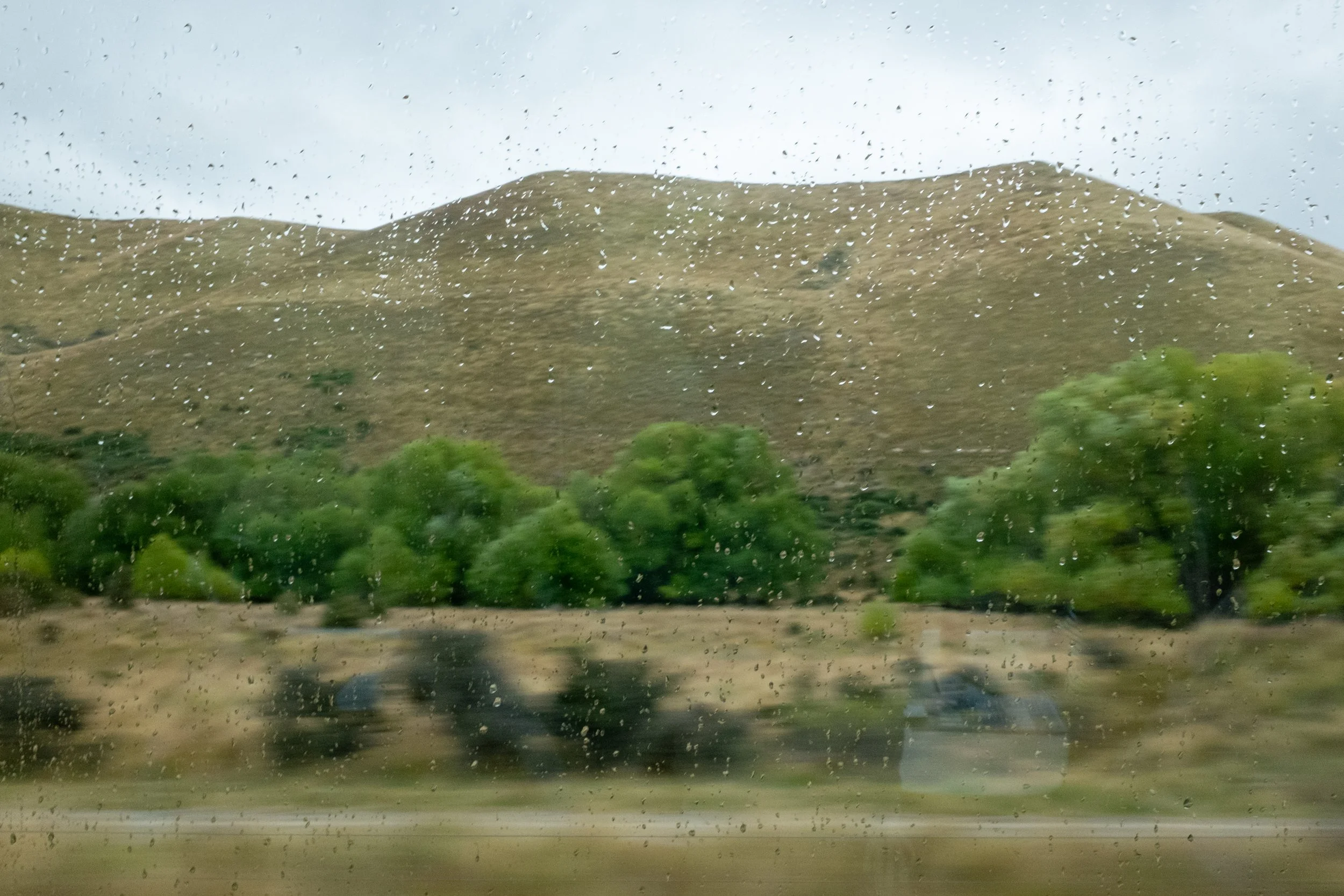 DSCF5442.jpg