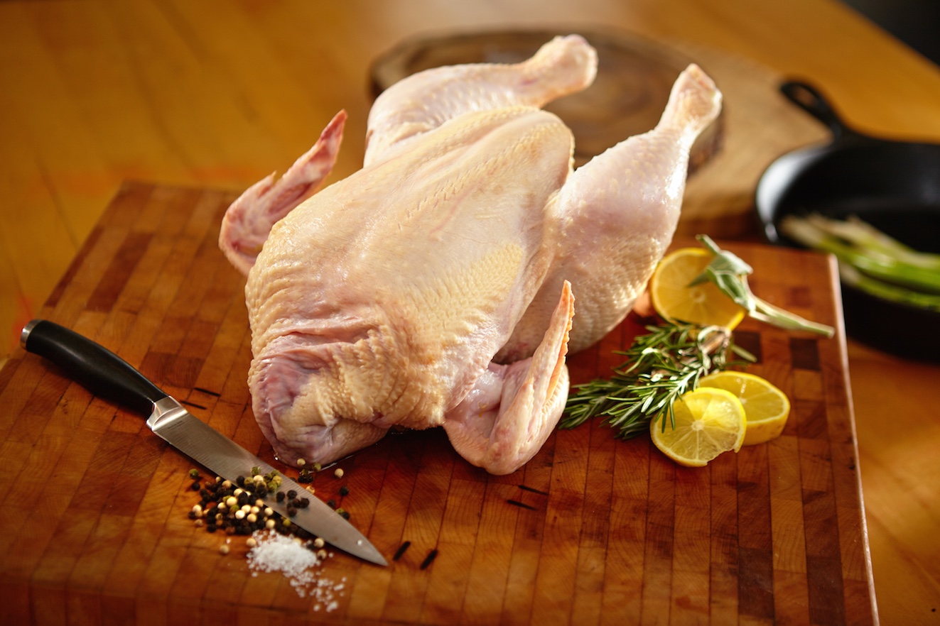 webchicken.jpg