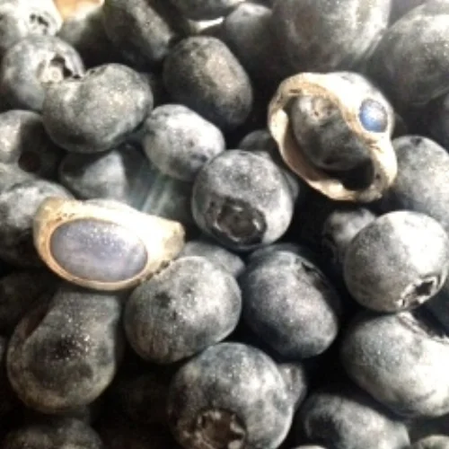 Sapphires, Silver and Blueberries