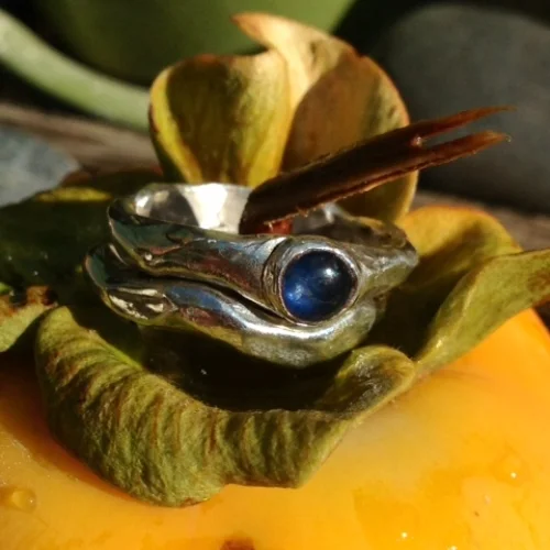 persimmon and sapphire.jpg