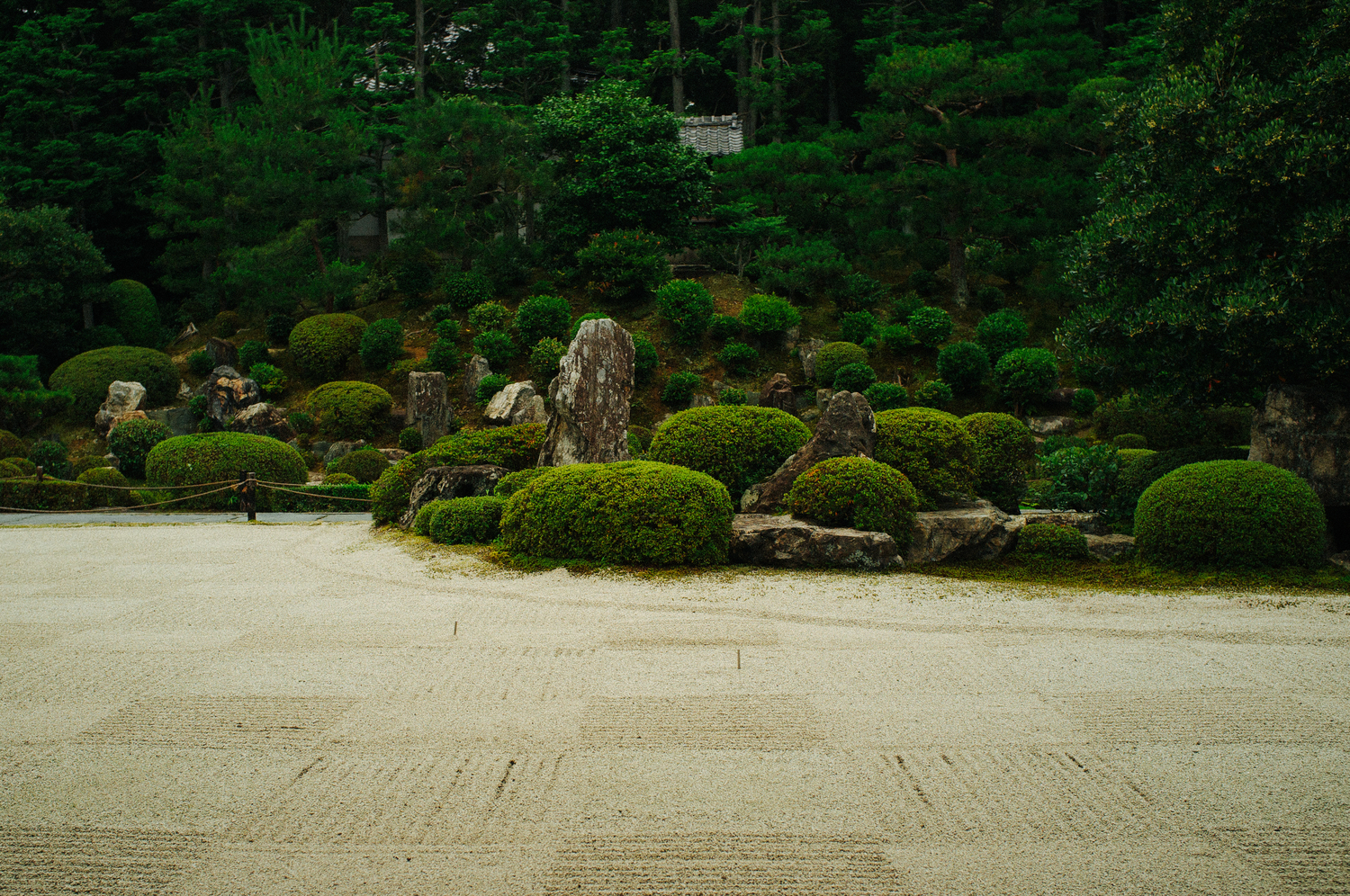 MarBoswell_Japan_005.jpeg