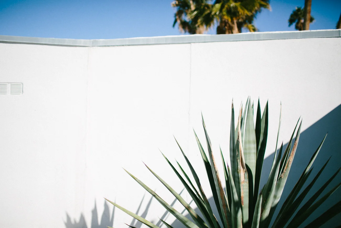 MarBoswellPhotography_LosAngeles-4136.jpg