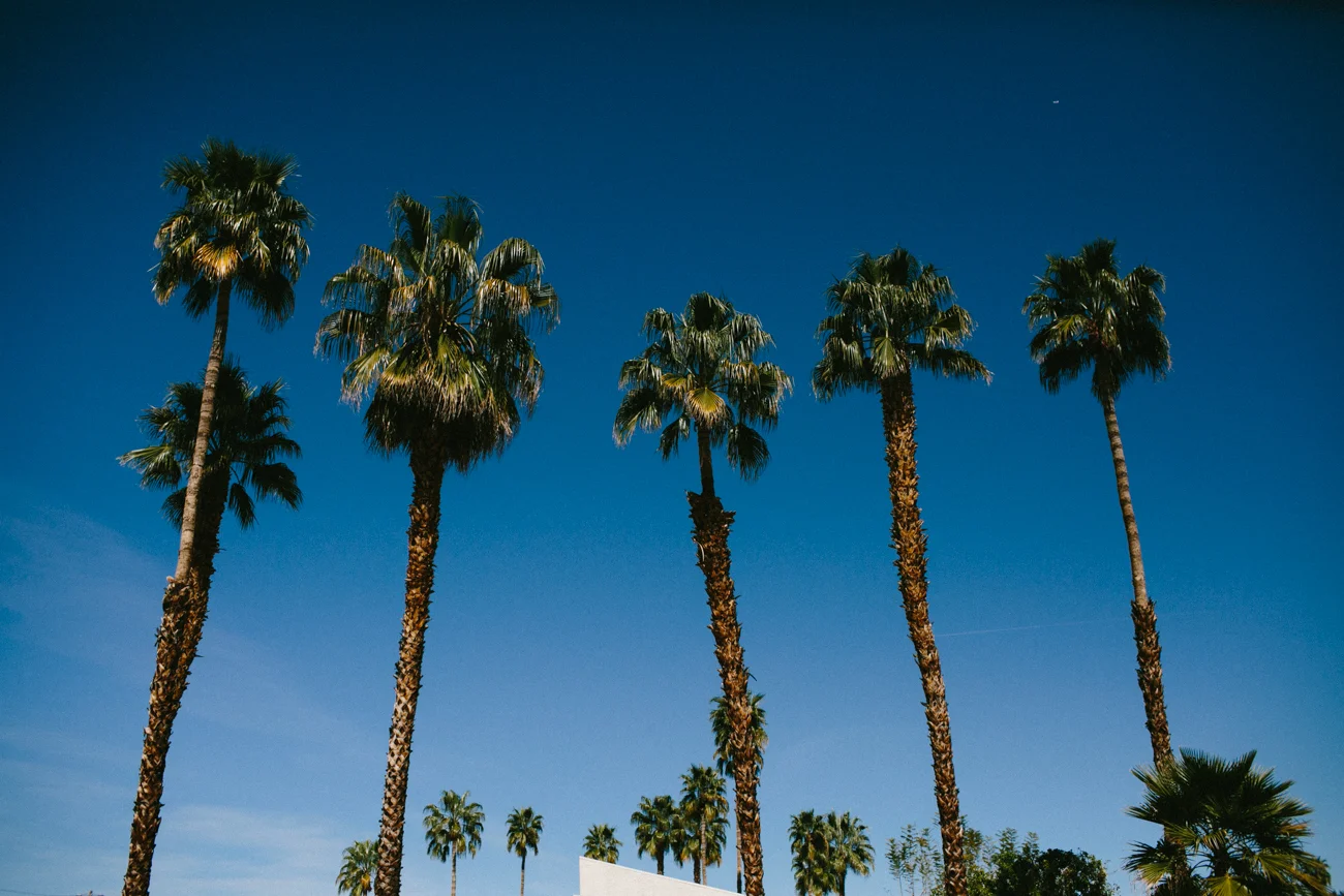 MarBoswellPhotography_LosAngeles-4190.jpg
